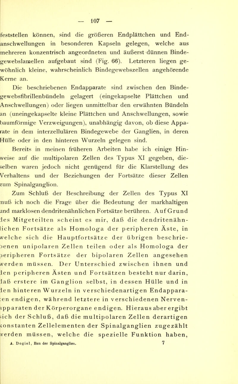 feststellen konnen, sind die grofieren Endplattchen und End- anschwellungen in besonderen Kapseln gelegen, welche aus mehreren konzentrisch angeordneten und aufierst diinnen Binde- gewebslamellen aufgebaut sind (Fig. 66). Letzteren liegen ge- wohnlich kleine, wahrscheinlich Bindegewebszellen angehorende Kerne an. Die beschriebenen Endapparate sind zwischen den Binde- gewebsfibrillenbiindeln gelagert (eingekapselte Plattchen und Anschwellungen) oder liegen unmittelbar den erwahnten Biindeln an (uneingekapselte kleine Plattchen und Anschwellungen, sowie baumformige Verzweigungen), unabhangig davon, ob diese Appa- rate in dem interzellularen Bindegewebe der Ganglien, in deren Hiille oder in den hinteren Wurzeln gelegen sind. Bereits in meinen friiheren Arbeiten habe ich einige Hin- weise auf die multipolaren Zellen des Typus XI gegeben, die- selben waren jedoch nicht geniigend fiir die Klarstellung des Verhaltens und der Beziehungen der Fortsatze dieser Zellen zum Spinalganglion. Zum Schlufi der Beschreibung der Zellen des Typus XI muih ich noch die Frage iiber die Bedeutung der markhaltigen Lind marklosendendritenahnlichenFortsatzeberiihren. AufGrund ies Mitgeteilten scheint es mir, dafi die dendritenahn- lichen Fortsatze als Homologa der peripheren Aste, in welche sich die Hauptfortsatze der iibrigen beschrie- Denen unipolaren Zellen teilen oder als Homologa der Deripheren Fortsatze der bipolaren Zellen angesehen kverden miissen. Der Unterschied zwischen ihnen und ien peripheren Asten und Fortsatzen besteht nur darin, iafi erstere im Ganglion selbst, in dessen Hiille und in ien hinteren Wurzeln in verschiedenartigen Endappara- :en endigen, wahrend letztere in verschiedenen Nerven- ipparaten der Korperorgane endigen. Hieraus aber ergibt nch der Schlufi, dafi die multipolaren Zellen derartigen tonstanten Zellelementen der Spinalganglien zugezahlt A^erden miissen, welche die spezielle Funktion haben, A. Dogiel, Bau der Spinalganglien. 7