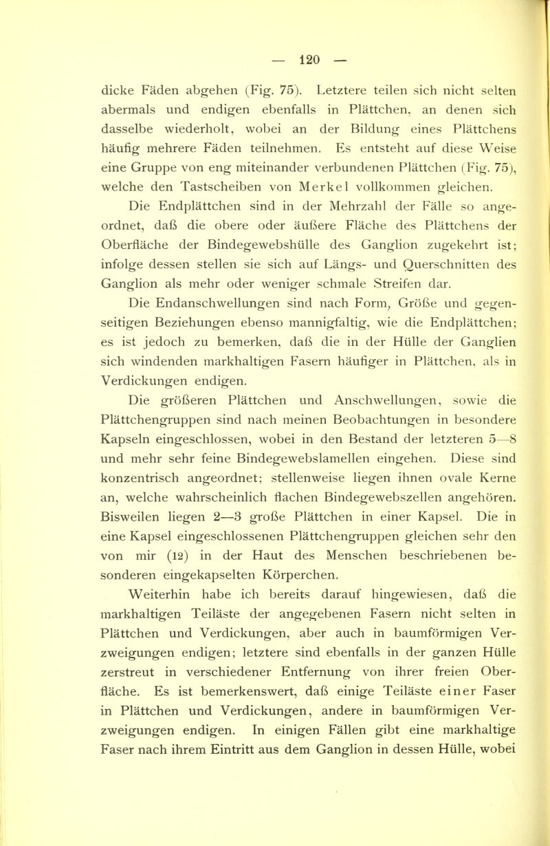 dicke Faden abgehen (Fig. 75). Letztere teilen sich nicht selten abermals und endigen ebenfalls in Plattchen, an denen sich dasselbe wiederholt, wobei an der Bildung eines Plattchens haufig mehrere Faden teilnehmen. Es entsteht auf diese Weise eine Gruppe von eng miteinander verbundenen Plattchen ( Fig. 75), welche den Tastscheiben von Merkel voUkommen gleichen. Die Endplattchen sind in der Mehrzahl der Falle so ange- ordnet, dafi die obere oder auf^ere Flache des Plattchens der Oberflache der Bindegewebshiille des Ganglion zugekehrt ist; infolge dessen stellen sie sich auf Langs- und Querschnitten des Ganglion als mehr oder weniger schmale Streifen dar. Die Endanschwellungen sind nach Form^ Grofte und gegen- seitigen Beziehungen ebenso mannigfaltig, wie die Endplattchen; es ist jedoch zu bemerken, daft die in der Hiille der Ganglien sich windenden markhaltigen Fasern haufiger in Plattchen, als in Verdickungen endigen. Die grofteren Plattchen und Anschwellungen, sowie die Plattchengruppen sind nach meinen Beobachtungen in besondere Kapseln eingeschlossen, wobei in den Bestand der letzteren 5—8 und mehr sehr feine Bindegewebslamellen eingehen. Diese sind konzentrisch angeordnet; stellenweise liegen ihnen ovale Kerne an, welche wahrscheinlich flachen Bindegewebszellen angehoren. Bisweilen liegen 2—3 grofte Plattchen in einer Kapsel. Die in eine Kapsel eingeschlossenen Plattchengruppen gleichen sehr den von mir (l2) in der Haut des Menschen beschriebenen be- sonderen eingekapselten Korperchen. Weiterhin habe ich bereits darauf hingewiesen, dafi die markhaltigen Teilaste der angegebenen Fasern nicht selten in Plattchen und Verdickungen, aber auch in baumformigen Ver- zweigungen endigen; letztere sind ebenfalls in der ganzen Hiille zerstreut in verschiedener Entfernung von ihrer freien Ober- flache. Es ist bemerkenswert, daft einige Teilaste einer Faser in Plattchen und Verdickungen, andere in baumformigen Ver- zweigungen endigen. In einigen Fallen gibt eine markhaltige Faser nach ihrem Eintritt aus dem Ganglion in dessen Hiille, wobei