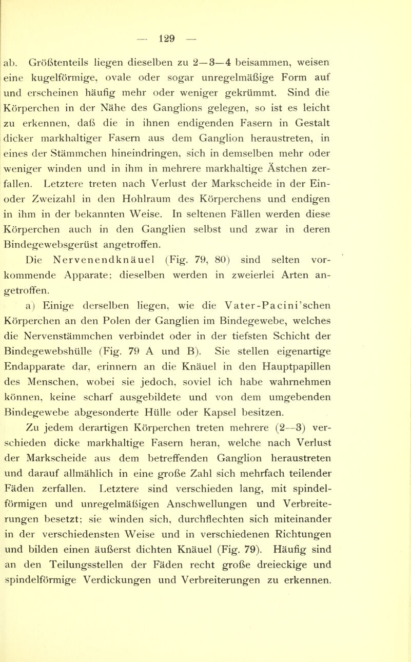 ab. Grofitenteils liegen dieselben zu 2—3—4 beisammen, weisen eine kugelformige, ovale oder sogar unregelmafiige Form auf und erscheinen haufig mehr oder weniger gekriimmt. Sind die Korperchen in der Nahe des Ganglions gelegen, so ist es leicht zu erkennen, daft die in ihnen endigenden Fasern in Gestalt dicker markhaltiger Fasern aus dem Ganglion heraustreten, in eines der Stammchen hineindringen, sich in demselben mehr oder weniger winden und in ihm in mehrere markhaltige Astchen zer- fallen. Letztere treten nach Verlust der Markscheide in der Ein- oder Zweizahl in den Hohlraum des Korperchens und endigen in ihm in der bekannten Weise. In seltenen Fallen werden diese Korperchen auch in den Ganglien selbst und zwar in deren Bindegewebsgeriist angetroffen. Die Nervenendknauel (Fig. 79, 80) sind selten vor- kommende Apparate; dieselben werden in zweierlei Arten an- getroffen. a) Einige derselben liegen, wie die Vater-Pacini'schen Korperchen an den Polen der Ganglien im Bindegewebe, welches die Nervenstammchen verbindet oder in der tiefsten Schicht der Bindegewebshiille (Fig. 79 A und B). Sie stellen eigenartige Endapparate dar, erinnern an die Knauel in den Hauptpapillen des Menschen, wobei sie jedoch. soviel ich habe wahrnehmen konnen, keine scharf ausgebildete und von dem umgebenden Bindegewebe abgesonderte Hulle oder Kapsel besitzen. Zu jedem derartigen Korperchen treten mehrere (2—3) ver- schieden dicke markhaltige Fasern heran, welche nach Verlust der Markscheide aus dem betreffenden Ganglion heraustreten und darauf allmahlich in eine grofte Zahl sich mehrfach teilender Faden zerfallen. Letztere sind verschieden lang, mit spindel- formigen und unregelmaftigen Anschwellungen und Verbreite- rungen besetzt; sie winden sich, durchflechten sich miteinander in der verschiedensten Weise und in verschiedenen Richtungen und bilden einen aufterst dichten Knauel (Fig. 79). Haufig sind an den Teilungsstellen der Faden recht grofie dreieckige und spindelformige Verdickungen und Verbreiterungen zu erkennen.