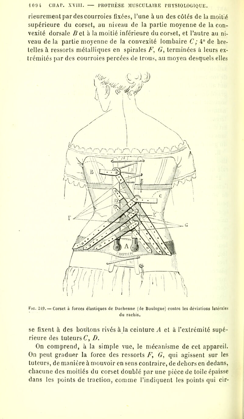 rieurement par des courroies fix^es, I'une k un des coles de la moilij^ sup^rieure du corset, au nii-eau de la partie moyenne de la con- vexity dorsale ^et a la moiti^ inf(^rieure du corset, et Tautre au ni- veau de la partie moyenne de la convexity lombaire C; 4° de bre- telles ^ ressorls m^talliques en spirales F, tern^in^es a leurs ex- tr^mil^s par des courroies perches de Irous, au nnoyen desquels elles Fig, 249. —Corset a forces elastiques de Duchenne (de Boulogne) contre les deviations laterales du rachis. se fixent a des boutons riv6s h la. ceinture ^ et a rextremit6 sup^- rieure des tuteursC, B. On comprend, k la simple vue, le mecanisme de cet appareil. On pent graduer la force des ressorts G, qui agissent sur les luteurs, de maniere k mouvoir en sens contraire, de dehors en dedans, chacune des moili^s du corset double par une piece de toile epaisse dans les points de traction, comme I'indiquent les points qui cir-