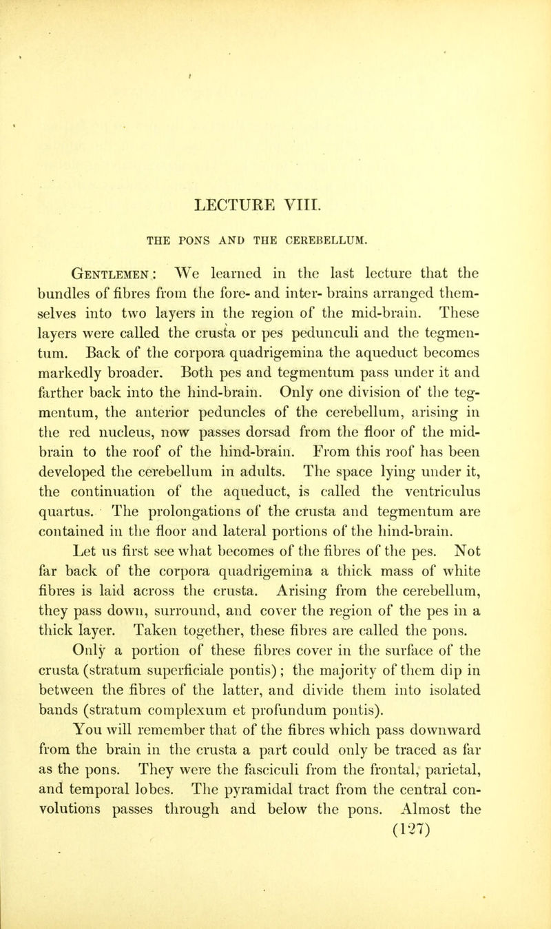I LECTURE VIII. THE PONS AND THE CEREBELLUM. Gentlemen : We learned in the last lecture that the bundles of fibres from the fore- and inter- brains arranged them- selves into two layers in the region of the mid-brain. These layers were called the crusta or pes pedunculi and the tegmen- tum. Back of the corpora quadrigemina the aqueduct becomes markedly broader. Both pes and tegmentum pass under it and farther back into the hind-brain. Only one division of the teg- mentum, the anterior peduncles of the cerebellum, arising in the red nucleus, now passes dorsad from the floor of the mid- brain to the roof of the hind-brain. From this roof has been developed tlie cerebellum in adults. The space lying under it, the continuation of the aqueduct, is called the ventriculus quartus. The prolongations of the crusta and tegmentum are contained in the floor and lateral portions of the hind-brain. Let us first see what becomes of the fibres of the pes. Not far back of the corpora quadrigemina a thick mass of white fibres is laid across the crusta. Arising from the cerebellum, they pass down, surround, and cover the region of the pes in a thick layer. Taken together, these fibres are called the pons. Only a portion of these fibres cover in the surface of the crusta (stratum superficiale pontis) ; the majority of them dip in between the fibres of the latter, and divide them into isolated bands (stratum complexum et profundum pontis). You will remember that of the fibres which pass downward from the brain in the crusta a part could only be traced as far as the pons. They were the fasciculi from the frontal, parietal, and temporal lobes. The pyramidal tract from the central con- volutions passes through and below the pons. Almost the