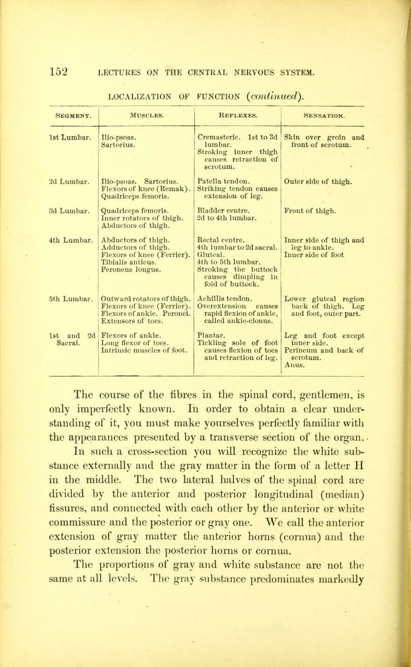 LOCALIZATION OF FUNCTION {coutmued). Segment. Muscles. Reflexes. Sensation. 1st Lumbar. Ilio-psoas. Sartorius. Cremasteric. 1st to 3d lumbar. Stroking inner thigh causes retraction of scrotum. Skin over groin and front of scrotum. 2d Lumbar. Ilio-psoas. Sartorius. Flexors of knee (Remak). Quadriceps femoris. Patella tendon. Striking tendon causes extension of leg. Outer side of thigh. 3d Lumbar. Quadriceps femoris. Inner rotators of thigh. Abductors of thigh. Bladder centre. 2d to 4th lumbar. Front of thigh. 4th Lumbar. Abductors of thigh. Adductors of thigh. Flexors of knee (Ferrier). Tibialis anticus. Peroneus longus. Rectal centre. 4th lumbar to 2d sacral. Gluteal, 4th to 5th lumbar. Stroking the buttock causes dimpling in fold of buttock. Inner side of thigh and leg to ankle. Inner side of foot 5th Lumbar. Outward rotators of thigh. Flexors of knee (Ferrier). Flexors of ankle. Peronei. Extensors of toes. Achillis tendon. Overextension causes rapid flexion of ankle, called ankle-clonus. Lower gluteal region back of thigh. Leg and foot, outer part. 1st and 2d Sacral. Flexors of ankle. Long flexor of toes. Intrinsic muscles of foot. Plantar. Tickling sole of foot causes flexion of toes and retraction of leg. Leg and foot except inner side. Perineum and back of scrotum. Anus. The course of the fibres in the spinal cord, gentlemen, is only imperfectly known. In order to obtain a clear under- standing of it, you must make yourselves perfectly familiar with the appearances presented by a transverse section of the organ.. In such a cross-section you will recognize the white sub- stance externally and the gray matter in the form of a letter H in the middle. The two lateral halves of the spinal cord are divided by the anterior and posterior longitudinal (median) fissures, and connected with each other by the anterior or white commissure and the posterior or gray one. We call the anterior extension of gray matter the anterior horns (cornua) and the posterior extension the posterior horns or cornua. The proportions of gray and white substance are not the same at all levels. The gray substance predominates markedly