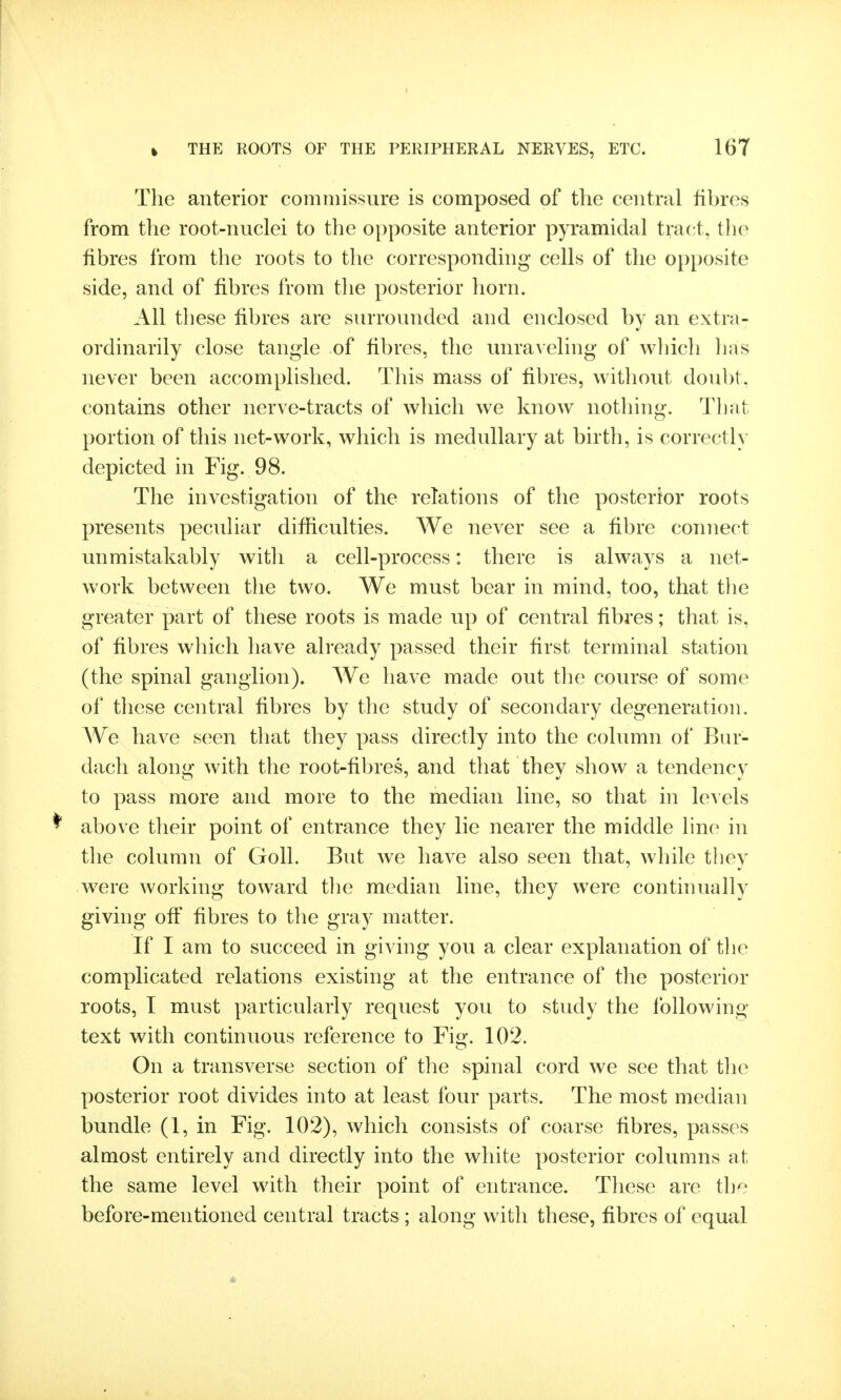 The anterior commissure is composed of the central fibres from the root-nuclei to the opposite anterior pyramidal tract, the fibres from the roots to tlie corresponding cells of the opposite side, and of fibres from the posterior horn. All these fibres are surrounded and enclosed by an extra- ordinarily close tangle of fibres, the unraveling of which has never been accomplished. This mass of fibres, without doubt, contains other nerve-tracts of which Ave know nothing. That portion of this net-work, which is medullary at birth, is correctly depicted in Fig. 98. The investigation of the relations of the posterior roots presents pecuUar difficulties. We never see a fibre connect unmistakably witli a cell-process: there is always a net- work between the two. We must bear in mind, too, that tlie greater part of these roots is made up of central fibres; that is, of fibres which have already passed their first terminal station (the spinal ganglion). We have made out the course of some of these central fibres by the study of secondary degeneration. We have seen that they pass directly into the column of Bur- dach along with the root-fibres, and that they show a tendency to pass more and more to the median line, so that in lev els ^ above their point of entrance they lie nearer the middle line in the column of Goll. But we have also seen that, while they were working toward the median line, they were continually giving off fibres to the gray matter. If I am to succeed in giving you a clear explanation of the complicated relations existing at the entrance of the posterior roots, I must particularly request you to study the following- text with continuous reference to 102. On a transverse section of the spinal cord we see that the posterior root divides into at least four parts. The most median bundle (1, in Fig. 102), which consists of coarse fibres, passes almost entirely and directly into the white posterior columns at the same level with their point of entrance. These are the before-mentioned central tracts ; along with these, fibres of equal