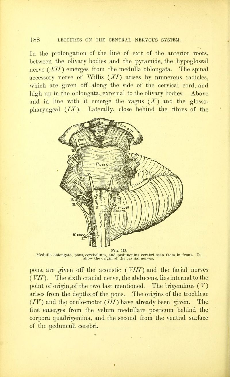 In the prolongation of the Ime of exit of the anterior roots, between the oUvary bodies and the pyramids, the hypoglossal nerve {XII) emerges from the medulla oblongata. The spinal accessory nerve of Willis {XI) arises by numerous radicles, which are given off along the side of the cervical cord, and high up in the oblongata, external to the olivary bodies. Above and in line with it emerge the vagus {X) and the glosso- pharyngeal {IX). Laterally, close behind the fibres of the Fig. 113. Medulla oblongata, pons, cerebellum, and pedunculus cerebri seen from in front. To show the origin of the cranial nerves. pons, are given off the acoustic ( VIII) and the facial nerves ( VII). The sixth cranial nerve, the abducens, lies internal to the point of origin|0f the two last mentioned. The trigeminus ( V) arises from the depths of the pons. The origins of the trochlear {IV) and the oculo-motor (///) have already been given. The first emerges from the velum medullare posticum behind the corpora quadrigemina, and the second from the ventral surface of the pedunculi cerebri.