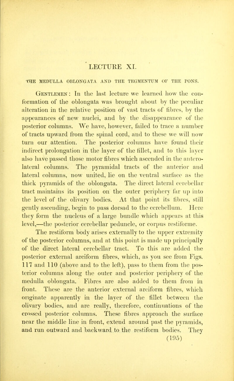LECTURE XI. THE MEDULLA OBLONGATA AND THE TEGMENTUM OF THE PONS. Gentlemen : In the last lecture we learned how the con- formation of the oblongata was brought about by the peculiar alteration in the relative position of vast tracts of fibres, by the appearances of new nuclei, and by the disappearance of the posterior columns. We have, however, failed to trace a number of tracts upward from the spinal cord, and to these we will now turn our attention. The posterior columns have found their indirect prolongation in the layer of the fillet, and to this layer also have passed those motor fibres which ascended in the antero- lateral columns. The pyramidal tracts of the anterior and lateral columns, now united, lie on the ventral surface as tlie thick pyramids of the oblongata. The direct lateral cerebellar tract maintains its position on the outer periphery far up into the level of the olivary bodies. At that point its fibres, still gently ascending, begin to pass dorsad to the cerebellum. Here they form the nucleus of a large bundle which appears at this level,—the posterior cerebellar peduncle, or corpus restiforme. The restiform body arises externally to the upper extremity of the posterior columns, and at this point is made up principally of the direct lateral cerebellar tract. To this are added the posterior external arciform fibres, which, as you see from Figs. 117 and 110 (above and to the left), pass to them from the pos- terior columns along the outer and posterior periphery of the medulla oblongata. Fibres are also added to them from in front. These are the anterior external arciform fibres, which originate apparently in the layer of the fillet between the olivary bodies, and are really, therefore, continuations of the crossed posterior columns. These fibres approach the surface near the middle line in front, extend around past the pyramids, and run outward and backward to the restiform bodies. They
