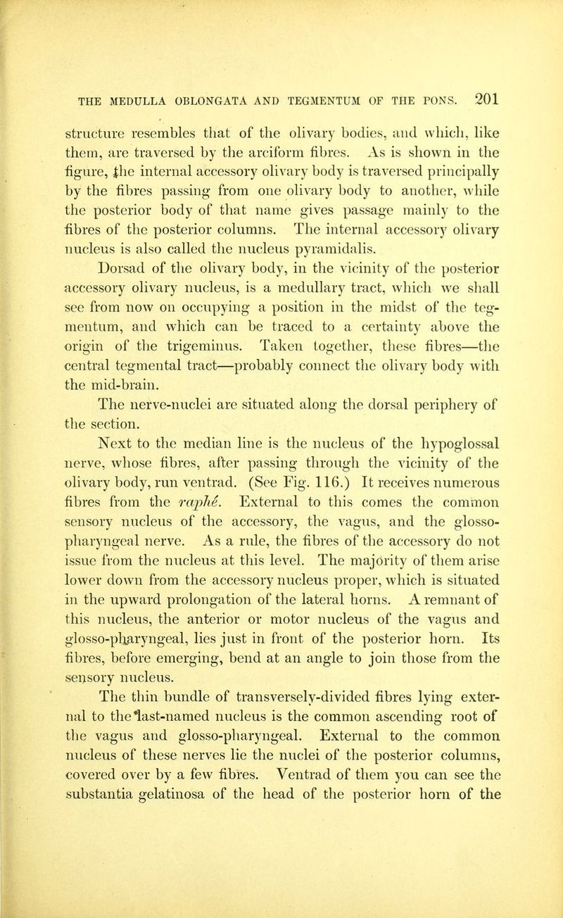 structure resembles that of the oh vary bodies, and which, Hke them, are traversed by the arciform fibres. As is shown in the figure, ihe internal accessory olivary body is traversed principally by the fibres passing from one olivary body to another, while the posterior body of that name gives passage mainly to the fibres of the posterior columns. The internal accessory olivary nucleus is also called the nucleus pyramidalis. Dorsad of the olivary body, in the vicinity of the posterior accessory olivary nucleus, is a medullary tract, which we shall see from now on occupying a position in the midst of the teg- mentum, and which can be traced to a certainty above the origin of the trigeminus. Taken together, these fibres—the central tegmental tract—probably connect the olivary body with the mid-brain. The nerve-nuclei are situated along the dorsal periphery of the section. Next to the median line is the nucleus of the hypoglossal nerve, whose fibres, after passing through the vicinity of the olivary body, run ventrad. (See Fig. 116.) It receives numerous fibres from the raphe. External to this comes the common sensory nucleus of the accessory, the vagus, and the glosso- pharyngeal nerve. As a rule, the fibres of the accessory do not issue from the nucleus at this level. The majority of them arise lower down from the accessory nucleus proper, which is situated in the upward prolongation of the lateral horns. A remnant of this nucleus, the anterior or motor nucleus of the vagus and glosso-plwyngeal, lies just in front of the posterior horn. Its fibres, before emerging, bend at an angle to join those from the sensory nucleus. The thin bundle of transversely-divided fibres lying exter- nal to the *last-named nucleus is the common ascending root of the vagus and glosso-pharyngeal. External to the common nucleus of these nerves lie the nuclei of the posterior columns, covered over by a few fibres. Ventrad of them you can see the substantia gelatinosa of the head of the posterior horn of the