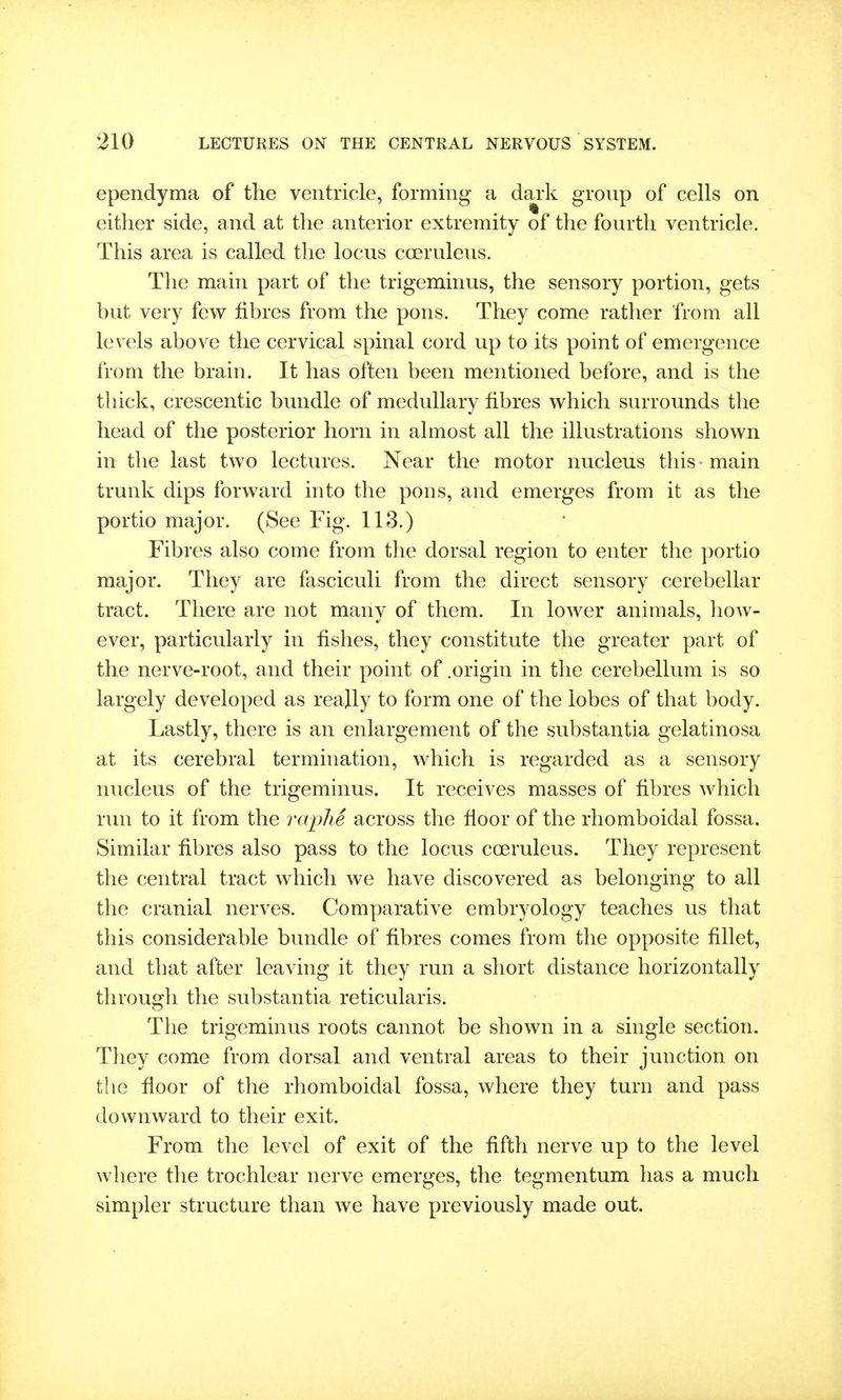 ependyma of the ventricle, forming a dark group of cells on either side, and at the anterior extremity of the fourth ventricle. This area is called the locus cceruleus. The main part of the trigeminus, the sensory portion, gets but very few fibres from the pons. They come rather from all levels above the cervical spinal cord up to its point of emergence from the brain. It has often been mentioned before, and is the thick, crescentic bundle of medullary fibres which surrounds the head of the posterior horn in almost all the illustrations shown in the last two lectures. Near the motor nucleus this main trunk dips forward into the pons, and emerges from it as the portio major. (See Fig. 113.) Fibres also come from the dorsal region to enter the portio major. They are fasciculi from the direct sensory cerebellar tract. Tliere are not many of them. In lower animals, how- ever, particularly in fishes, they constitute the greater part of the nerve-root, and their point of .origin in the cerebellum is so largely developed as reajly to form one of the lobes of that body. Lastly, there is an enlargement of the substantia gelatinosa at its cerebral termination, which is regarded as a sensory nucleus of the trigeminus. It receives masses of fibres which run to it from the raplie across the fioor of the rhomboidal fossa. Similar fibres also pass to the locus cceruleus. They represent the central tract which we have discovered as belonging to all the cranial nerves. Comparative embryology teaches us that this considerable bundle of fibres comes from the opposite fillet, and that after leaving it they run a short distance horizontally through the substantia reticularis. The trigeminus roots cannot be shown in a single section. They come from dorsal and ventral areas to their junction on the floor of the rhomboidal fossa, where they turn and pass downward to their exit. From the level of exit of the fifth nerve up to the level where the trochlear nerve emerges, the tegmentum has a much simpler structure than we have previously made out.