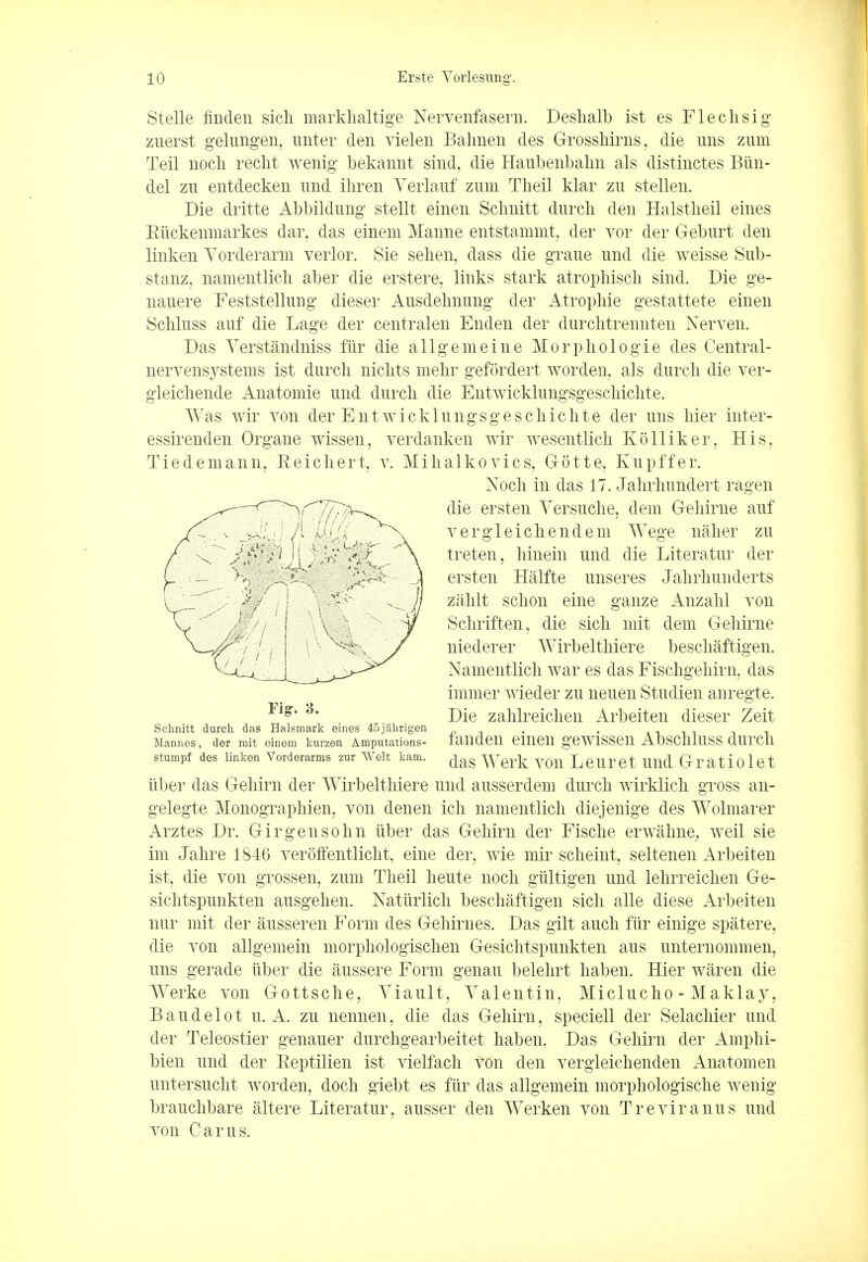 Stelle finden sich markhaltige Nervenfasern. Deshalb ist es Flechsig zuerst gelungen, unter den vielen Bahnen des Grosshirns, die uns zum Teil nocli recht wenig bekannt sind, die Haubenbahn als distinctes Biiii- del zu entdecken und ihren Verlauf zum Theil klar zu stellen. Die dritte Abbildung stellt einen Schnitt durch den Halstheil eines Riickenmarkes dar, das einem Manne entstammt, der vor der Geburt den linken Yorderarm verlor. Sie sehen, dass die graue und die weisse Sub- stanz, namentlich aber die erstere, links stark atrophisch sind. Die ge- nauere Feststellung dieser Ausdehnung der Atropine gestattete einen Schluss auf die Lage der central en Enden der durchtrennten Nerven. Das Verstandniss fur die allgemeine Morphologie des Central- nervensystems ist durch nichts mehr gefordert worden, als durch die ver- gleichende Anatomie und durch die Entwicklungsgeschichte. Was wir von der Entwicklungsgeschichte der uns hier inter- essirenden Organe wissen, verdanken wir wesentlich KoHiker, His, Tiedemann, Reichert, v. Mihalkovics, Glotte, Kupffer. iiber das Gehirn der Wirbelthiere und ausserdem durch wirklich gross an- gelegte Monographien, von denen ich namentlich diejenige des Wolmarer Arztes Dr. Girgensohn iiber das Gehirn der Fische erwahne^ weil sie im Jahre 1846 verolfentlicht, eine der, wie mir scheint, seltenen Arbeiten ist, die von grossen, zum Theil heute noch giiltigen und lehrreichen Ge- sichtspunkten ausgehen. Natiirlich beschaftigen sich alle diese Arbeiten nur mit der ausseren Form des Gehirnes. Das gilt auch fiir einige spatere, die von allgemein morphologischen Gesichtspunkten aus unternommen, uns gerade iiber die aussere Form genau belehrt haben. Hier waren die Werke von Gottsche, Viault, Valentin, Miclucho - Maklay, Baudelot u. A. zu nennen, die das Gehirn, speciell der Selachier und der Teleostier genauer durchgearbeitet haben. Das Gehirn der Amphi- bien und der Eeptilien ist vielfach von den vergleichenden Anatomen untersucht worden, doch giebt es fiir das allgemein morphologische wenig brauchbare altere Literatur, ausser den Werken von Treviranus und von Cams. Noch in das 17. Jahrhundert ragen die ersten Versuche, dem Gehirne auf vergleichendem Wege naher zu treten, hinein und die Literatur der ersten Halfte unseres Jahrhunderts zahlt schon eine ganze Anzahl von Schriften, die sich mit dem Gehirne niederer Wirbelthiere beschaftigen. Namentlich war es das Fischgehirn, das immer wieder zu neuen Studien anregte. Die zahlreichen Arbeiten dieser Zeit i. fanden einen gewissen Abschluss durch u das Werk von Leuret und Gratiolet