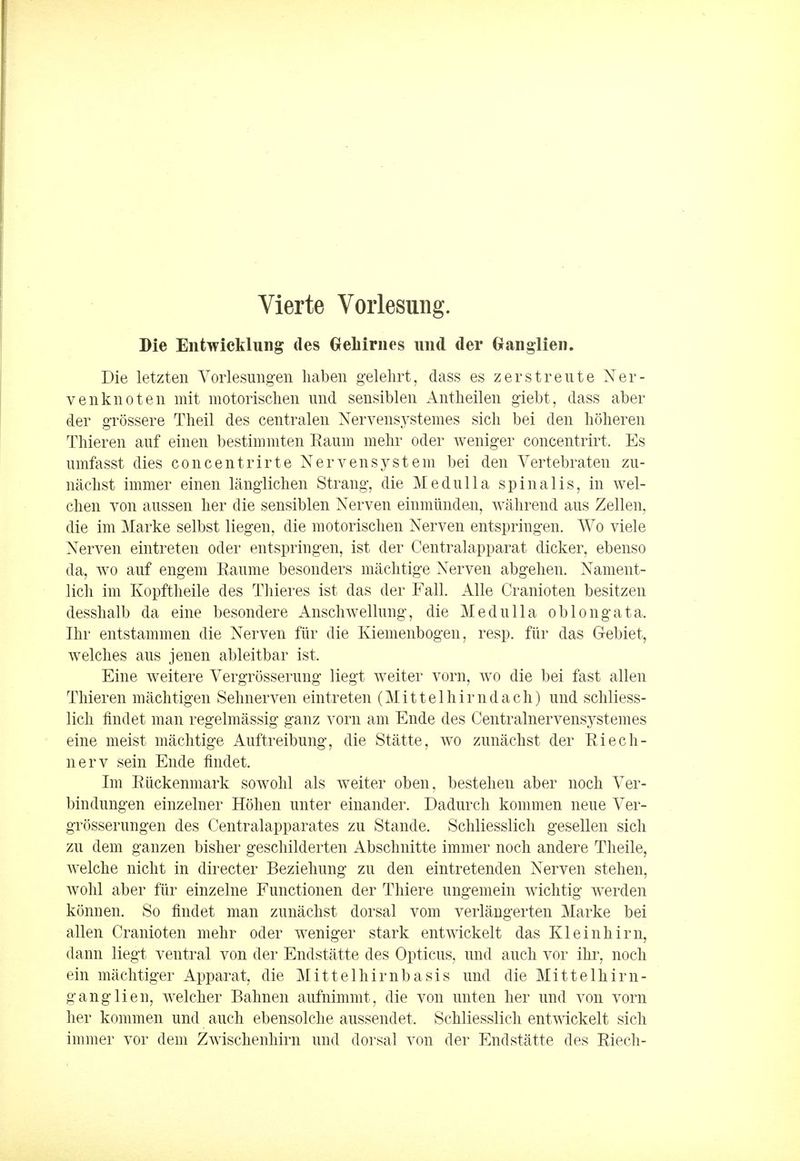 Vierte Vorlesung. Die Entwicklung des Geliiriies und der Ganglien. Die letzten Vorlesungen haben gelehrt, dass es zerstreute Ner- venknoten mit motorischen und sensiblen Antheilen giebt, dass aber der grossere Theil des centralen Nervensystemes sich bei den hoheren Thieren auf einen bestimmten Kaum menr oder weniger concentrirt. Es umfasst dies concentrirte Nervensystem bei den Vertebraten zu- nachst immer einen langlichen Strang, die Medulla spinalis, in wel- chen von aussen her die sensiblen Nerven einmunden, wahrend aus Zellen, die im Marke selbst liegen, die motorischen Nerven entspringen. Wo viele Nerven eintreten oder entspringen, ist der Centralapparat dicker, ebenso da, wo auf engem Eaume besonders machtige Nerven abgehen. Nament- lich im Kopftheile des Thieres ist das der Fall. Alle Cranioten besitzen desshalb da eine besondere Anschwellung, die Medulla oblongata. Ihr entstammen die Nerven fur die Kiemenbogen, resp. fur das Gebiet, welches aus jenen ableitbar ist, Eine weitere Vergrosserung liegt weiter vorn, wo die bei fast alien Thieren machtigen Sehnerven eintreten (Mittelhirndach) und schliess- lich findet man regelmassig ganz vorn am Ende des Centralnervensystemes eine meist machtige Auftreibung, die Statte, wo zunachst der Riecli- ner v sein Ende findet. Im Elickenmark sowohl als weiter oben, bestehen aber noch Ver- bindungen einzelner Hohen unter einander. Dadurch kommen neue Ver- grosserungen des Centralapparates zu Stande. Schliesslich gesellen sich zu dem ganzen bisher geschilderten Abschnitte immer noch andere Theile, welche nicht in directer Beziehung zu den eintretenden Nerven stehen, wohl aber fiir einzelne Functionen der Thiere ungemein wichtig werden konnen. So findet man zunachst dorsal vorn verlangerten Marke bei alien Cranioten mehr oder weniger stark entwickelt das Kleinhirn, dann liegt ventral von der Endstatte des Opticus, und auch vor ihr, noch ein machtiger Apparat, die Mittelhirnbasis und die Mittelhirn- ganglien, welcher Bahnen aufnimmt, die von unten her und von vorn her kommen und auch ebensolche aussendet. Schliesslich entwickelt sich immer vor dem Zwischenhirn und dorsal von der Endstatte des Kiech-