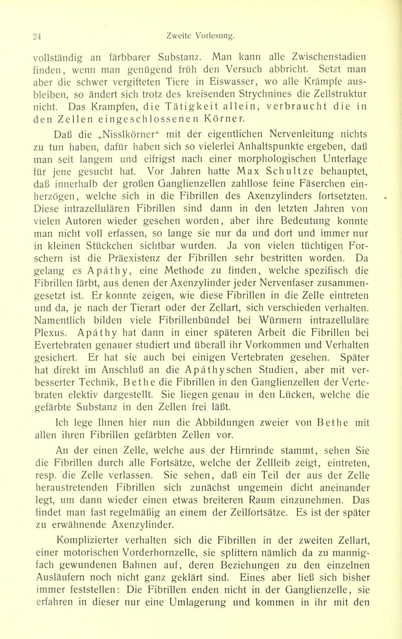 vollstandig an farbbarer Substanz. Man kann alle Zwischenstadien finden, wenn man geniigend friih den Versuch abbricht. Setzt man aber die schwer vergifteten Tiere in Eiswasser, wo alle Krampfe aus- bleiben, so andert sich trotz des kreisenden Strychnines die Zellstruktur nicht. Das Krampfen, die Tatigkeit allein, verbraucht die in den Zellen eingeschlossenen Korner. Dafi die „Nisslkorner mit der eigentlichen Nervenleitung nichts zu tun haben, dafur haben sich so vielerlei Anhaltspunkte ergeben, dafi man seit langem und eifrigst nach einer morphologischen Unterlage fur jene gesucht hat. Vor Jahren hatte Max Schultze behauptet, dafi innerhalb der grofien Ganglienzellen zahllose feine Faserchen ein- herzogen, welche sich in die Fibrillen des Axenzylinders fortsetzten. Diese intrazellularen Fibrillen sind dann in den letzten Jahren von vielen Autoren wieder gesehen worden, aber ihre Bedeutung konnte man nicht voll erfassen, so lange sie nur da und dort und immer nur in kleinen Stiickchen sichtbar wurden. Ja von vielen tuchtigen For- schern ist die Praexistenz der Fibrillen sehr bestritten worden. Da gelang es Apathy, eine Methode zu finden, welche spezifisch die Fibrillen farbt, aus denen der Axenzylinder jeder Nervenfaser zusammen- gesetzt ist. Er konnte zeigen, wie diese Fibrillen in die Zelle eintreten und da, je nach der Tierart oder der Zellart, sich verschieden verhalten. Namentlich bilden viele Fibrillenbundel bei Wurmern intrazellulare Plexus. Apathy hat dann in einer spateren Arbeit die Fibrillen bei Evertebraten genauer studiert und uberall ihr Vorkommen und Verhalten gesichert. Er hat sie auch bei einigen Vertebraten gesehen. Spater hat direkt im Anschlufi an die Apathy sehen Studien, aber mit ver- besserter Technik, Bethe die Fibrillen in den Ganglienzellen der Verte- braten elektiv dargestellt. Sie liegen genau in den Lticken, welche die gefarbte Substanz in den Zellen frei lafit. Ich lege Ihnen hier nun die Abbildungen zweier von Bethe mit alien ihren Fibrillen gefarbten Zellen vor. An der einen Zelle, welche aus der Hirnrinde stammt, sehen Sie die Fibrillen durch alle Fortsatze, welche der Zellleib zeigt, eintreten, resp. die Zelle verlassen. Sie sehen, dafi ein Teil der aus der Zelle heraustretenden Fibrillen sich zunachst ungemein dicht aneinander legt, um dann wieder einen etwas breiteren Raum einzunehmen. Das findet man fast regelmafiig an einem der Zellfortsatze. Es ist der spater zu erwahnende Axenzylinder. Komplizierter verhalten sich die Fibrillen in der zweiten Zellart, einer motorischen Vorderhornzelle, sie splittern namlich da zu mannig- fach gewundenen Bahnen auf, deren Beziehungen zu den einzelnen Auslaufern noch nicht ganz geklart sind. Eines aber liefi sich bisher immer feststellen: Die Fibrillen enden nicht in der Ganglienzelle, sie erfahren in dieser nur eine Umlagerung und kommen in ihr mit den