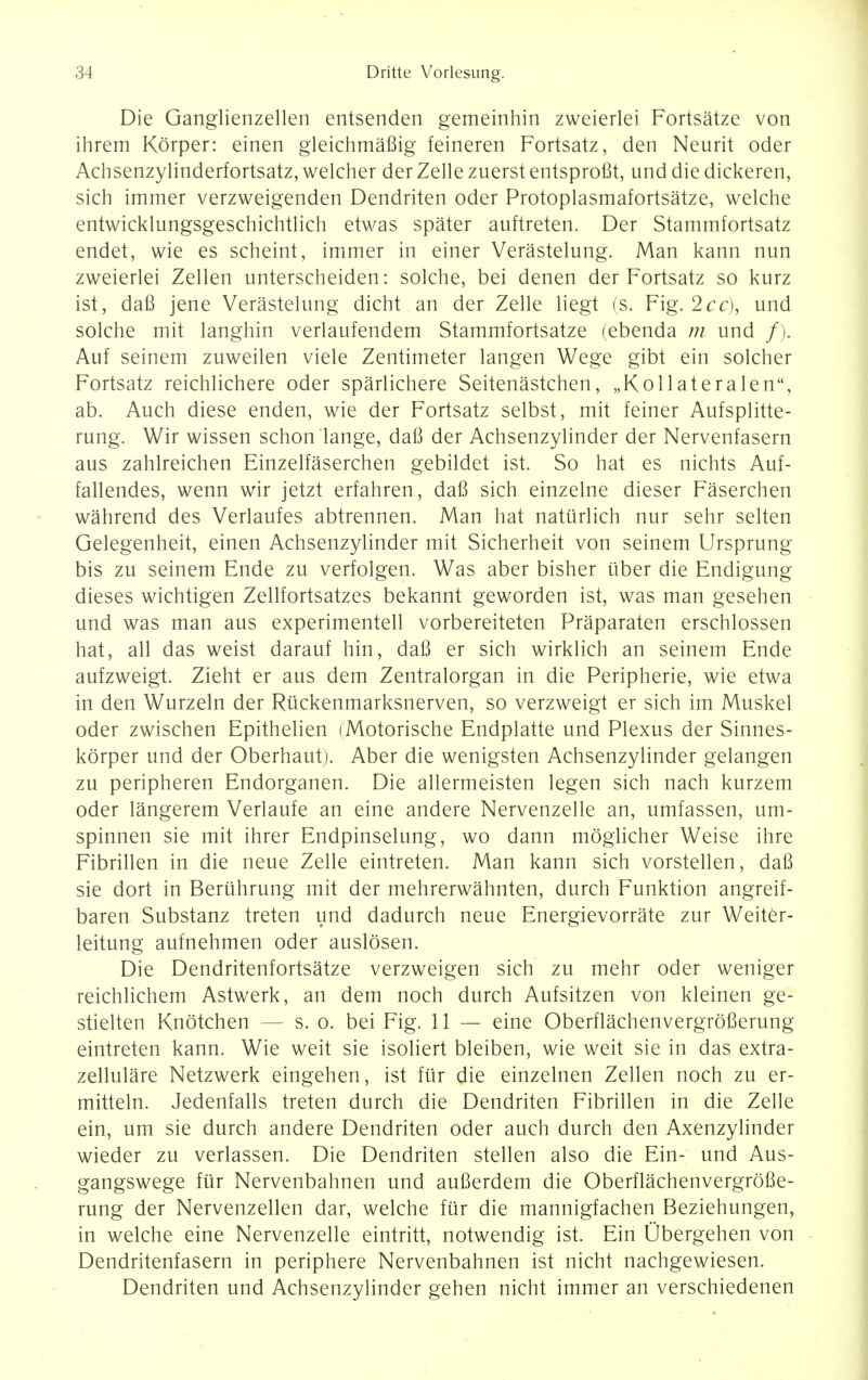 Die Ganglienzellen entsenden gemeinhin zweierlei Fortsatze von ihrem Korper: einen gleichmafiig feineren Fortsatz, den Neurit oder Achsenzylinderfortsatz, welcher der Zelle zuerst entsprofit, und die dickeren, sich immer verzweigenden Dendriten oder Protoplasmafortsatze, welche entwicklungsgeschichtlich etwas spater auftreten. Der Stammfortsatz endet, wie es scheint, immer in einer Verastelung. Man kann nun zweierlei Zellen unterscheiden: solche, bei denen der Fortsatz so kurz ist, dafi jene Verastelung dicht an der Zelle liegt (s. Fig. 2cc), und solche mit langhin verlaufendem Stammfortsatze (ebenda m und /). Auf seinem zuweilen viele Zentimeter langen Wege gibt ein solcher Fortsatz reichlichere oder sparlichere Seitenastchen, „Kol 1 ateralen, ab. Auch diese enden, wie der Fortsatz selbst, mit feiner Aufsplitte- rung. Wir wissen schon lange, dafi der Achsenzylinder der Nervenfasern aus zahlreichen Einzelfaserchen gebildet ist. So hat es nichts Auf- fallendes, wenn wir jetzt erfahren, dafi sich einzelne dieser Faserchen wahrend des Verlaufes abtrennen. Man hat natiirlich nur sehr selten Gelegenheit, einen Achsenzylinder mit Sicherheit von seinem Ursprung bis zu seinem Ende zu verfolgen. Was aber bisher uber die Endigung dieses wichtigen Zellfortsatzes bekannt geworden ist, was man gesehen und was man aus experimentell vorbereiteten Praparaten erschlossen hat, all das weist darauf hin, dafi er sich wirklich an seinem Ende aufzweigt. Zieht er aus dem Zentralorgan in die Peripherie, wie etwa in den Wurzeln der Rtickenmarksnerven, so verzweigt er sich im Muskel oder zwischen Epithelien (Motorische Endplatte und Plexus der Sinnes- korper und der Oberhaut). Aber die wenigsten Achsenzylinder gelangen zu peripheren Endorganen. Die allermeisten legen sich nach kurzem oder langerem Verlaufe an eine andere Nervenzelle an, umfassen, um- spinnen sie mit ihrer Endpinselung, wo dann moglicher Weise ihre Fibrillen in die neue Zelle eintreten. Man kann sich vorstellen, dafi sie dort in Beriihrung mit der mehrerwahnten, durch Funktion angreif- baren Substanz treten und dadurch neue Energievorrate zur Weiter- leitung aufnehmen oder auslosen. Die Dendritenfortsatze verzweigen sich zu mehr oder weniger reichlichem Astwerk, an dem noch durch Aufsitzen von kleinen ge- stielten Knotchen s. o. bei Fig. 11 — eine Oberflachenvergrofierung eintreten kann. Wie weit sie isoliert bleiben, wie weit sie in das extra- zellulare Netzwerk eingehen, ist fur die einzelnen Zellen noch zu er- mitteln. Jedenfalls treten durch die Dendriten Fibrillen in die Zelle ein, um sie durch andere Dendriten oder auch durch den Axenzylinder wieder zu verlassen. Die Dendriten stellen also die Ein- und Aus- gangswege fur Nervenbahnen und aufierdem die Oberflachenvergrofie- rung der Nervenzellen dar, welche ftir die mannigfachen Beziehungen, in welche eine Nervenzelle eintritt, notwendig ist. Ein Obergehen von Dendritenfasern in periphere Nervenbahnen ist nicht nachgewiesen. Dendriten und Achsenzylinder gehen nicht immer an verschiedenen