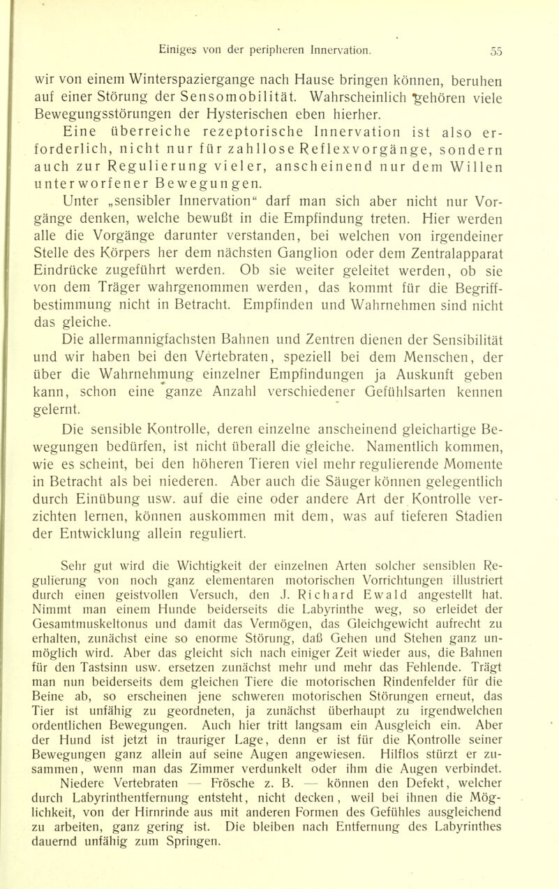 wir von einem Winterspaziergange nach Hause bringen konnen, beruhen auf einer Stoning der Sensomobilitat. Wahrscheinlich %ehoren viele Bewegungsstorungen der Hysterischen eben hierher. Eine uberreiche rezeptorische Innervation ist also er- forderlich, nicht nur furzahlloseReflexvorgange, sondern auch zur Regulierung vieler, anseheinend nur dem Willen unterworfener Bewegungen. Unter „sensibler Innervation darf man sich aber nicht nur Vor- gange denken, welche bewufit in die Empfindung treten. Hier werden alle die Vorgange darunter verstanden, bei welchen von irgendeiner Stelle des Korpers her dem nachsten Ganglion oder dem Zentralapparat Eindriicke zugefuhrt werden. Ob sie weiter geleitet werden, ob sie von dem Trager wahrgenommen werden, das kommt fur die Begriff- bestimmung nicht in Betracht. Empfinden und Wahrnehmen sind nicht das gleiche. Die allermannigfachsten Bahnen und Zentren dienen der Sensibilitat und wir haben bei den Vertebraten, speziell bei dem Menschen, der uber die Wahrnehmung einzelner Empfindungen ja Auskunft geben kann, schon eine ganze Anzahl verschiedener Gefuhlsarten kennen gelernt. Die sensible Kontrolle, deren einzelne anseheinend gleichartige Be- wegungen bediirfen, ist nicht uberall die gleiche. Namentlich kommen, wie es scheint, bei den hoheren Tieren viel mehr regulierende Momente in Betracht als bei niederen. Aber auch die Sauger konnen gelegentlich durch Einubung usw. auf die eine oder andere Art der Kontrolle ver- zichten lernen, konnen auskommen mit dem, was auf tieferen Stadien der Entwicklung allein reguliert. Sehr gut wird die Wichtigkeit der einzelnen Arten solcher sensiblen Re- gulierung von noch ganz elementaren motorischen Vorrichtungen illustriert durch einen geistvollen Versuch, den J. Richard Ewald angestellt hat. Nimmt man einem Hunde beiderseits die Labyrinthe weg, so erleidet der Gesamtmuskeltonus und damit das Vermogen, das Gleichgewicht aufrecht zu erhalten, zunachst eine so enorme Storung, dafi Gehen und Stehen ganz un- moglich wird. Aber das gleicht sich nach einiger Zeit wieder aus, die Bahnen fur den Tastsinn usw. ersetzen zunachst mehr und mehr das Fehlende. Tragt man nun beiderseits dem gleichen Tiere die motorischen Rindenfelder fur die Beine ab, so erscheinen jene schweren motorischen Storungen erneut, das Tier ist unfahig zu geordneten, ja zunachst iiberhaupt zu irgendwelchen ordentlichen Bewegungen. Auch hier tritt langsam ein Ausgleich ein. Aber der Hund ist jetzt in trauriger Lage, denn er ist fur die Kontrolle seiner Bewegungen ganz allein auf seine Augen angewiesen. Hilflos stiirzt er zu- sammen, wenn man das Zimmer verdunkelt oder ihm die Augen verbindet. Niedere Vertebraten — Frosche z. B. konnen den Defekt, welcher durch Labyrinthentfernung entsteht, nicht decken, weil bei ihnen die Mog- lichkeit, von der Hirnrinde aus mit anderen Formen des Gefuhles ausgleichend zu arbeiten, ganz gering ist. Die bleiben nach Entfernung des Labyrinthes dauernd unfahig zum Springen.