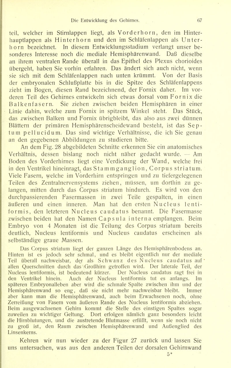 teil, welcher im Stirnlappen liegt, als Vorderhorn, den im Hinter- hauptlappen als Hinterhorn und den im Schlafenlappen als Unter- horn bezeichnet. In diesem Entwicklungsstadium verlangt unser be- sonderes Interesse noch die mediale Hemispharenwand. Dafi dieselbe an ihrem ventralen Rande iiberall in das Epithel des Plexus chorioides ubergeht, haben Sie vorhin erfahren. Das andert sich auch nicht, wenn sie sich mit dem Schlafenlappen nach unten krummt. Von der Basis der embryonalen Schlufiplatte bis in die Spitze des Schlafenlappens zieht im Bogen, diesen Rand bezeichnend, der Fornix daher. Im vor- deren Teil des Gehirnes entwickeln sich etwas dorsal vom Fornix die Balkenfasern. Sie ziehen zwischen beiden Hemispharen in einer Linie dahin, welche zum Fornix in spitzem Winkel steht. Das Stuck, das zwischen Balken und Fornix tibrigbleibt, das also aus zwei dtinnen Blattern der primaren Hemispharenscheidewand besteht, ist das Sep- tum pellucidum. Das sind wichtige Verhaltnisse, die ich Sie genau an den gegebenen Abbildungen zu studieren bitte. An dem Fig. 28 abgebildeten Schnitte erkennen Sie ein anatomisches Verhaltnis, dessen bislang noch nicht naher gedacht wurde. Am Boden des Vorderhirnes liegt eine Verdickung der Wand, welche frei in den Ventrikel hineinragt, das Stammganglion, Corpus striatum. Viele Fasern, welche im Vorderhirn entspringen und zu tiefergelegenen Teilen des Zentralnervensystems ziehen, miissen, um dorthin zu ge- langen, mitten durch das Corpus striatum hindurch. Es wird von den durchpassierenden Fasermassen in zwei Teile gespalten, in einen aufieren und einen inneren. Man hat den ersten Nucleus lenti- formis, den letzteren Nucleus caudatus benannt. Die Fasermasse zwischen beiden hat den NamenCapsula interna empfangen. Beim Embryo von 4 Monaten ist die Teilung des Corpus striatum bereits deutlich, Nucleus lentiformis und Nucleus caudatus erscheinen als selbstandige graue Massen. Das Corpus striatum liegt der ganzen Lange des Hemispharenbodens an. Hinten ist es jedoch sehr schmal, und es bleibt eigentlich nur der mediale Teil iiberall nachweisbar, der als Schwanz des Nucleus caudatus auf * alien Querschnitten durch das GroBhirn getroffen wird. Der laterale Teil, der Nucleus lentiformis, ist bedeutend kiirzer. Der Nucleus caudatus ragt frei in den Ventrikel hinein. Auch der Nucleus lentiformis tut es anfangs. Im spateren Embryonalleben aber wird die schmale Spalte zwischen ihm und der Hemispharenwand so eng, dafi sie nicht mehr nachweisbar bleibt. Immer aber kann man die Hemispharenwand, auch beim Erwachsenen noch, ohne Zerreifiung von Fasern vom aufieren Rande des Nucleus lentiformis abziehen. Beim ausgewachsenen Gehirn kommt die Stelle des einstigen Spaltes sogar zuweilen zu wichtiger Geltung. Dort erfolgen namlich ganz besonders leicht die Hirnblutungen, und die austretende Blutmasse erfullt, wenn sie noch nicht zu grofi ist, den Raum zwischen Hemispharenwand und Aufienglied des Linsenkerns. Kehren wir nun wieder zu der Figur 27 zuruck und lassen Sie uns untersuchen, was aus den anderen Teilen der dorsalen Gehirnwand 5*