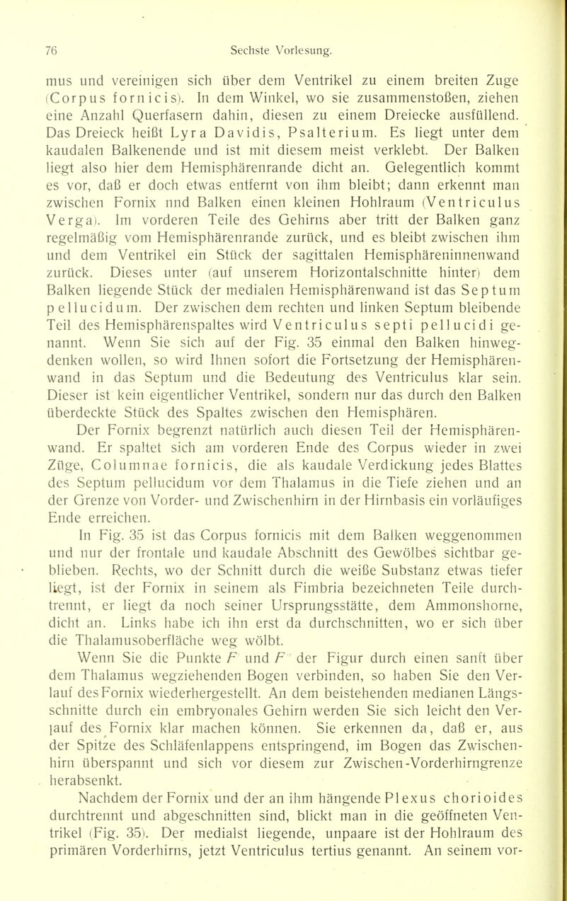 mus und vereinigen sich liber dem Ventrikel zu einem breiten Zuge (Corpus fornicis). In dem Winkel, wo sie zusammenstofien, Ziehen eine Anzahl Querfasern dahin, diesen zu einem Dreiecke ausftillend. Das Dreieck heifit Lyra Davidis, Psalterium. Es liegt unter dem kaudalen Balkenende und ist mit diesem meist verklebt. Der Balken liegt also hier dem Hemispharenrande dicht an. Gelegentlich kommt es vor, dafi er doch etwas entfernt von ihm bleibt; dann erkennt man zwischen Fornix nnd Balken einen kleinen Hohlraum (Ventriculus Verga). Im vorderen Teile des Gehirns aber tritt der Balken ganz regelmafiig vom Hemispharenrande zuriick, und es bleibt zwischen ihm und dem Ventrikel ein Stuck der sagittalen Hemisphareninnenwand zuriick. Dieses unter (auf unserem Horizontalschnitte hinter) dem Balken liegende Stuck der medialen Hemispharenwand ist das Septum pellucidum. Der zwischen dem rechten und linken Septum bleibende Teil des Hemispharenspaltes wird Ventri culu s septi pellucidi ge- nannt. Wenn Sie sich auf der Fig. 35 einmal den Balken hinweg- denken wollen, so wird Ihnen sofort die Fortsetzung der Hemispharen- wand in das Septum und die Bedeutung des Ventriculus klar sein. Dieser ist kein eigentlicher Ventrikel, sondern nur das durch den Balken iiberdeckte Stuck des Spaltes zwischen den Hemispharen. Der Fornix begrenzt natiirlich auch diesen Teil der Hemispharen- wand. Er spaltet sich am vorderen Ende des Corpus wieder in zwei Ziige, Columnae fornicis, die als kaudale Verdickung jedes Blattes des Septum pellucidum vor dem Thalamus in die Tiefe Ziehen und an der Grenze von Vorder- und Zwischenhirn in der Hirnbasis ein vorlaufiges Ende erreichen. In Fig. 35 ist das Corpus fornicis mit dem Balken weggenommen und nur der frontale und kaudale Abschnitt des Gewolbes sichtbar ge- blieben. Rechts, wo der Schnitt durch die weifie Substanz etwas tiefer liegt, ist der Fornix in seinem als Fimbria bezeichneten Teile durch- trennt, er liegt da noch seiner Ursprungsstatte, dem Ammonshorne, dicht an. Links habe ich ihn erst da durchschnitten, wo er sich iiber die Thalamusoberflache weg wolbt. Wenn Sie die Punkte F und F der Figur durch einen sanft iiber dem Thalamus wegziehenden Bogen verbinden, so haben Sie den Ver- lauf des Fornix wiederhergestellt. An dem beistehenden medianen Langs- schnitte durch ein embryonales Gehirn werden Sie sich leicht den Ver- lauf des Fornix klar machen konnen. Sie erkennen da, dafi er, aus der Spitze des Schlafenlappens entspringend, im Bogen das Zwischen- hirn iiberspannt und sich vor diesem zur Zwischen-Vorderhirngrenze herabsenkt. Nachdem der Fornix und der an ihm hangende Plexus chorioides durchtrennt und abgeschnitten sind, blickt man in die geoffneten Ven- trikel (Fig. 35). Der medialst liegende, unpaare ist der Hohlraum des primaren Vorderhirns, jetzt Ventriculus tertius genannt. An seinem vor-