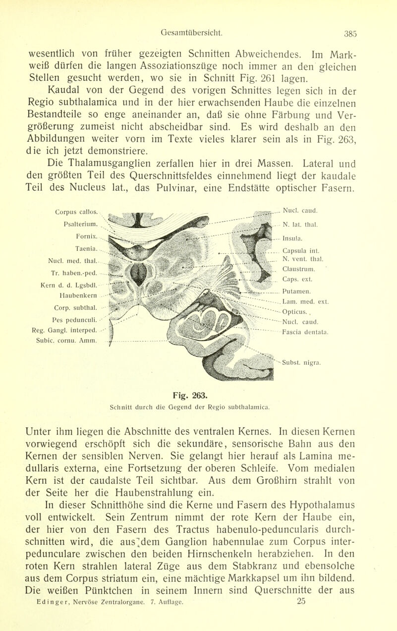 wesentlich von fruher gezeigten Schnitten Abweichendes. Im Mark- weifi durfen die langen Assoziationszuge noch immer an den gleichen Stellen gesucht werden, wo sie in Schnitt Fig. 261 lagen. Kaudal von der Gegend des vorigen Schnittes legen sich in der Regio subthalamica und in der hier erwachsenden Haube die einzelnen Bestandteile so enge aneinander an, dafi sie ohne Farbung und Ver- grofierung zumeist nicht abscheidbar sind. Es wird deshalb an den Abbildungen weiter vorn im Texte vieles klarer sein als in Fig. 263, die ich jetzt demonstriere. Die Thalamusganglien zerfallen hier in drei Massen. Lateral und den grofiten Teil des Querschnittsfeldes einnehmend liegt der kaudale Teil des Nucleus lat., das Pulvinar, eine Endstatte optischer Fasern. Ke Reg. ( Subi Fig. 263. Schnitt durch die Gegend der Regio subthalamica. Unter ihm liegen die Abschnitte des ventralen Kernes. In diesen Kernen vorwiegend erschopft sich die sekundare, sensorische Bahn aus den Kernen der sensiblen Nerven. Sie gelangt hier herauf als Lamina me- dullaris externa, eine Fortsetzung der oberen Schleife. Vom medialen Kern ist der caudalste Teil sichtbar. Aus dem Grofihirn strahlt von der Seite her die Haubenstrahlung ein. In dieser Schnitthohe sind die Kerne und Fasern des Hypothalamus voll entwickelt. Sein Zentrum nimmt der rote Kern der Haube ein, der hier von den Fasern des Tractus habenulo-peduncularis durch- schnitten wird, die ausdem Ganglion habennulae zum Corpus inter- pedunculare zwischen den beiden Hirnschenkeln herabziehen. In den roten Kern strahlen lateral Ziige aus dem Stabkranz und ebensolche aus dem Corpus striatum ein, eine machtige Markkapsel um ihn bildend. Die weifien Ptinktchen in seinem Innern sind Querschnitte der aus Edinger, Nervose Zentralorgane. 7. Auflage. 25