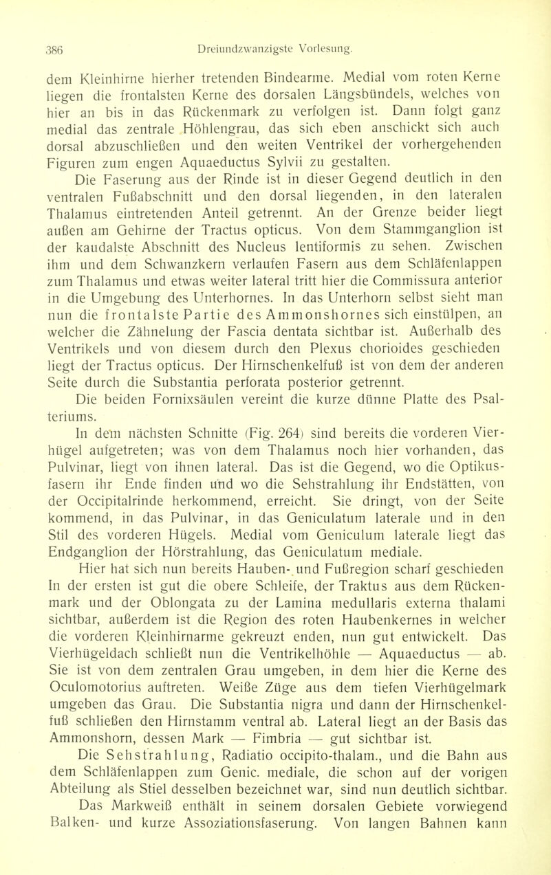 dem Kleinhirne hierher tretenden Bindearme. Medial vom roten Kerne liegen die frontalsten Kerne des dorsalen Langsbundels, welches von hier an bis in das Riickenmark zu verfolgen ist. Dann folgt ganz medial das zentrale Hohlengrau, das sich eben anschickt sich auch dorsal abzuschliefien und den weiten Ventrikel der vorhergehenden Figuren zum engen Aquaeductus Sylvii zu gestalten. Die Faserung aus der Rinde ist in dieser Gegend deutlich in den ventralen Fufiabschnitt und den dorsal liegenden, in den lateralen Thalamus eintretenden Anteil getrennt. An der Grenze beider liegt aufien am Gehirne der Tractus opticus. Von dem Stammganglion ist der kaudalste Abschnitt des Nucleus lentiformis zu sehen. Zwischen ihm und dem Schwanzkern verlaufen Fasern aus dem Schlafenlappen zum Thalamus und etwas weiter lateral tritt hier die Commissura anterior in die Umgebung des Unterhornes. In das Unterhorn selbst sieht man nun die frontalste Partie des Ammonshornes sich einstulpen, an welcher die Zahnelung der Fascia dentata sichtbar ist. Aufierhalb des Ventrikels und von diesem durch den Plexus chorioides geschieden liegt der Tractus opticus. Der Hirnschenkelfufi ist von dem der anderen Seite durch die Substantia perforata posterior getrennt. Die beiden Fornixsaulen vereint die kurze diinne Platte des Psal- teriums. In dem nachsten Schnitte (Fig. 264) sind bereits die vorderen Vier- hiigel aufgetreten; was von dem Thalamus noch hier vorhanden, das Pulvinar, liegt von ihnen lateral. Das ist die Gegend, wo die Optikus- fasern ihr Ende finden und wo die Sehstrahlung ihr Endstatten, von der Occipitalrinde herkommend, erreicht. Sie dringt, von der Seite kommend, in das Pulvinar, in das Geniculatum laterale und in den Stil des vorderen Hugels. Medial vom Geniculum laterale liegt das Endganglion der Horstrahlung, das Geniculatum mediale. Hier hat sich nun bereits Hauben- und Fufiregion scharf geschieden In der ersten ist gut die obere Schleife, der Traktus aus dem Rucken- mark und der Oblongata zu der Lamina medullaris externa thalami sichtbar, aufierdem ist die Region des roten Haubenkernes in welcher die vorderen Kleinhirnarme gekreuzt enden, nun gut entwickelt. Das Vierhiigeldach schlieBt nun die Ventrikelhohle — Aquaeductus ab. Sie ist von dem zentralen Grau umgeben, in dem hier die Kerne des Oculomotorius auftreten. Weifie Ztige aus dem tiefen Vierhugelmark umgeben das Grau. Die Substantia nigra und dann der Hirnschenkel- fufi schliefien den Hirnstamm ventral ab. Lateral liegt an der Basis das Ammonshorn, dessen Mark — Fimbria — gut sichtbar ist. Die Sehstrahlung, Radiatio occipito-thalam., und die Bahn aus dem Schlafenlappen zum Genie, mediale, die schon auf der vorigen Abteilung als Stiel desselben bezeichnet war, sind nun deutlich sichtbar. Das Markweifi enthalt in seinem dorsalen Gebiete vorwiegend Balken- und kurze Assoziationsfaserung. Von langen Bahnen kann