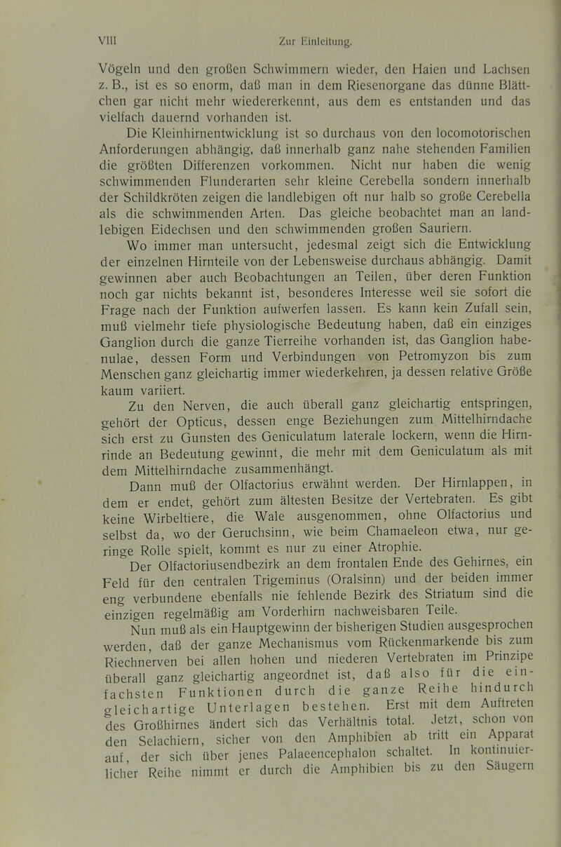 Vögeln und den großen Schwimmern wieder, den Haien und Lachsen z. B., ist es so enorm, daß man in dem Riesenorgane das dünne Blätt- chen gar nicht mehr wiedererkennt, aus dem es entstanden und das vielfach dauernd vorhanden ist. Die Kleinhirnentwicklung ist so durchaus von den locomotorischen Anforderungen abhängig, daß innerhalb ganz nahe stehenden Familien die größten Differenzen vorkommen. Nicht nur haben die wenig schwimmenden Flunderarten sehr kleine Cerebella sondern innerhalb der Schildkröten zeigen die landlebigen oft nur halb so große Cerebella als die schwimmenden Arten. Das gleiche beobachtet man an land- lebigen Eidechsen und den schwimmenden großen Sauriern. Wo immer man untersucht, jedesmal zeigt sich die Entwicklung der einzelnen Hirnteile von der Lebensweise durchaus abhängig. Damit gewinnen aber auch Beobachtungen an Teilen, über deren Funktion noch gar nichts bekannt ist, besonderes Interesse weil sie sofort die Frage nach der Funktion aufwerfen lassen. Es kann kein Zufall sein, muß vielmehr tiefe physiologische Bedeutung haben, daß ein einziges Ganglion durch die ganze Tierreihe vorhanden ist, das Ganglion habe- nulae, dessen Form und Verbindungen von Petromyzon bis zum Menschen ganz gleichartig immer wiederkehren, ja dessen relative Größe kaum variiert. Zu den Nerven, die auch überall ganz gleichartig entspringen, gehört der Opticus, dessen enge Beziehungen zum Mittelhirndache sich erst zu Gunsten des Geniculatum laterale lockern, wenn die Hirn- rinde an Bedeutung gewinnt, die mehr mit dem Geniculatum als mit dem Mittelhirndache zusammenhängt. Dann muß der Olfactorius erwähnt werden. Der Hirnlappen, in dem er endet, gehört zum ältesten Besitze der Vertebraten. Es gibt keine Wirbeltiere, die Wale ausgenommen, ohne Olfactorius und selbst da, wo der Geruchsinn, wie beim Chamaeleon etwa, nur ge- ringe Rolle spielt, kommt es nur zu einer Atrophie. Der Olfactoriusendbezirk an dem frontalen Ende des Gehirnes, ein Feld für den centralen Trigeminus (Oralsinn) und der beiden immer eng verbundene ebenfalls nie fehlende Bezirk des Striatum sind die einzigen regelmäßig am Vorderhirn nachweisbaren Teile. Nun muß als ein Hauptgewinn der bisherigen Studien ausgesprochen werden, daß der ganze Mechanismus vom Rückenmarkende bis zum Riechnerven bei allen hohen und niederen Vertebraten im Prinzipe überall ganz gleichartig angeordnet ist, daß also für die ein- fachsten Funktionen durch die ganze Reihe hindurch gleichartige Unterlagen bestehen. Erst mit dem Auftreten des Großhirnes ändert sich das Verhältnis total. Jetzt, schon von den Selachiern, sicher von den Amphibien ab tritt em Apparat auf der sich über jenes Palaeencephalon schaltet. In kontmuier- lich'er Reihe nimmt er durch die Amphibien bis zu den Säugern