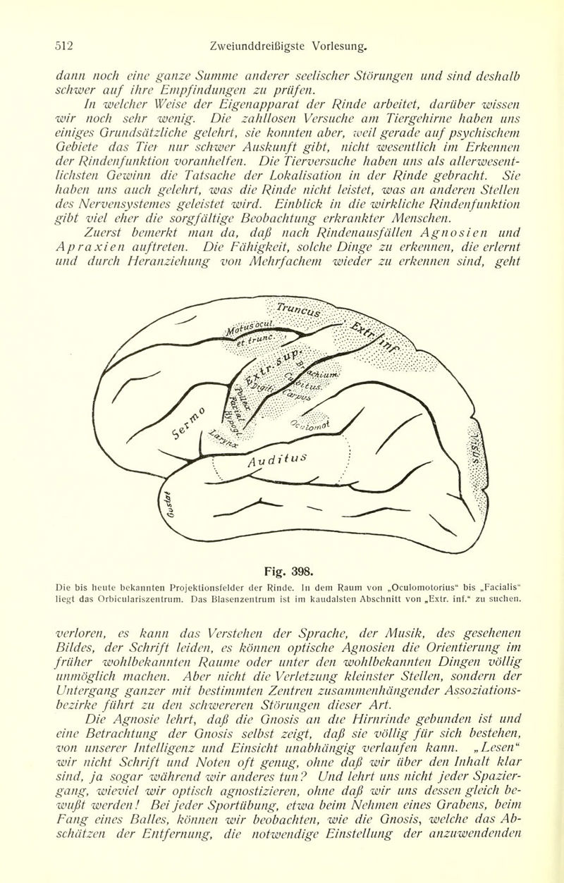 dann noch eine ganze Summe anderer seelischer Storangen und sind deshalb schwer auf ihre Empfindungen zu priifen. In welcher Weise der Eigenapparat der Rinde arbeitet, dariiber wissen wir noch sehr wenig. Die zahllosen Versuche am Tiergehime haben uns einiges Grundsdtzliche gelehrt, sie konnten aber, iveil gerade auf psychischem Gebiete das Tier nur schwer Auskunft gibt, nicht wesentlich im Erkennen der Rindenfunktion voranhelfen. Die Tierversuche haben uns als allerwesent- lichsten Oewinn die Tatsache der Lokalisation in der Rinde gebracht. Sie haben uns auch gelehrt, was die Rinde nicht leistet, was an anderen Stellen des Nervensystemes geleistet wird. Einblick in die wirkliche Rindenfunktion gibt viel eher die sorgfdltige Beobachtung erkrankter Menschen. Zuerst bemerkt man da, daft nach Rindenausfdllen Agnosien und Apraxien auftreten. Die Fdhigkeit, solche Dinge zu erkennen, die erlernt und durch Heranziehung von Mehrfachem wieder zu erkennen sind, geht Fig. 398. Die bis heute bekannten Projektionsfelder der Rinde. In dem Raum von „Oculomotorius bis „Facialis liegt das Orbiculariszentrum. Das Blasenzentrum ist im kaudalsten Abschnitt von „Extr. inf. zu suchen. verloren, es kann das Verstehen der Sprache, der Musik, des gesehenen Bildes, der Schrift leiden, es konnen optische Agnosien die Orientierung im friiher wohlbekannten Raume oder unter den wohlbekannten Dingen vollig unmoglich machen. Aber nicht die Verletzung kleinster Stellen, sondern der Untergang ganzer mit bestimmten Zentren zusammenhangender Assoziations- bezirke fiihrt zu den schwereren Storungen dieser Art. Die Agnosie lehrt, dafi die Gnosis an die Hirnrinde gebunden ist und eine Betrachtung der Gnosis selbst zeigt, dafi sie vollig fur sich bestehen, von unserer Intelligenz und Einsicht unabhangig verlaufen kann. „Lesenu wir nicht Schrift und Noten oft genug, ohne dafi wir iiber den Inhalt klar sind, ja sogar wdhrend wir anderes tun ? Und lehrt uns nicht jeder Spazier- gang, wieviel wir optisch agnostizieren, ohne dafi wir uns dessen gleich be- wufit werden! Bei jeder Sportiibung, etwa beim Nehmen eines Grabens, beim Fang eines Balles, konnen wir beobachten, wie die Gnosis, welche das Ab- schatzen der Etitfernung, die notwendige Einstellung der anzuwendenden