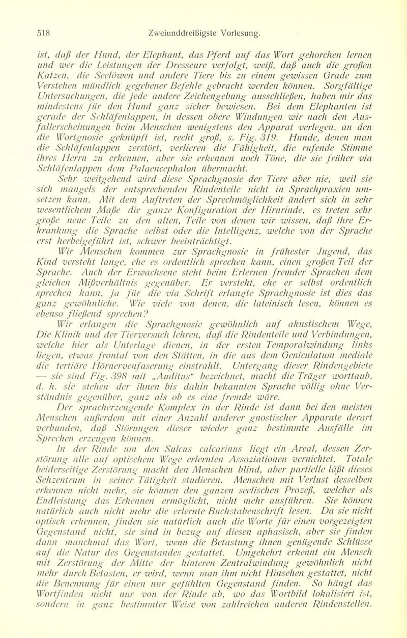 ist, dafi der Hund, der Elephant, das Pferd auf das Wort gehorchen lernen und wer die Leistungen der Dresseure verfolgt, weifi, dafi auch die grofien Katzeri, die Seelowen und andere Tiere bis zu einem gewissen Grade zum Verstehen miindlich gegebener Befehle gebracht werden konnen. Sorgfaltige Untersuchungen, die jede andere Zeichengebung ausschliefien, haben mir das mindestens fiir den Hand ganz sicher bewiesen. Bei dem Elephanten ist gerade der Schlafenlappen, in dessen obere Windungen wir nach den Aus- fallerscheimmgen beim Menschen wenigstens den Apparat verlegen, an den die Wortgnosie gekniipft ist, recht grofi, s. Fig. 319. Hunde, denen man die Schlafenlappen zerstort, verlieren die Fdhigkeit, die rafende Stimme ihres Herrn zu erkennen, aber sie erkennen noch Tone, die sie friiher via Schlafenlappen dem Palaencephalon iibermacht. Sehr weitgehend wird diese Sprachgnosie der Tiere aber nie, weil sie sich mangels der entsprechenden Rindenteile nicht in Sprachpraxien um- setzen kann. Mit dem Auftreten der Sprechmoglichkeit andert sich in sehr wesentlichem Mafie die ganze Konfiguration der Hirnrinde, es treten sehr grofie neue Telle zu den alten, Teile von denen wir wissen, dafi Hire Er- krankung die Sprache selbst oder die Intelligent, welche von der Sprache erst herbeigefiihrt ist, schwer beeintrachtigt. Wir Menschen kommen zur Sprachgnosie in friihester Jugend, das Kind versteht lange, ehe es ordentlich sprechen kann, einen grofien Tell der Sprache. Auch der Erwachsene steht beim Erlernen fremder Sprachen dem gleichen Mifiverhaltnis gegeniiber. Er versteht, ehe er selbst ordentlich sprechen kann, ja fiir die via Schrift erlangte Sprachgnosie ist dies das ganz gewohnliche. Wie viele von denen, die lateinisch lesen, konnen es ebenso fliefiend sprechen? Wir erlangen die Sprachgnosie gewohnlich auf akustischem Wege, Die Klinik und der Tierversuch lehren, dafi die Rindenteile und Verbindiingen, welche hier als Unterlage dienen, in der ersten Temporalwindung links liegen, etwas frontal von den Statten, in die aus dem Geniculatum mediate die tertiare Hornervenfaserung einstrahlt. Untergang dieser Rindengebiete sie sind Fig. 398 mit „Auditus bezeichnet, macht die Trager worttaub, d. h. sie stehen der ihnen bis dahin bekannten Sprache vollig ohne Ver- standnis gegeniiber, ganz als ob es eine fremde ware. Der spracherzeugende Komplex in der Rinde ist dann bei den meisten Menschen aufierdem mit einer Anzahl anderer gnostischer Apparate derart verbunden, dafi Storungen dieser wieder ganz bestimmte Ausfdlle im Sprechen erzeugen konnen. In der Rinde um den Sulcus catcarinus liegt ein Areal, dessen Zer- storung alle auf optischem Wege erlernten Assoziationen vernichtet. Totale beiderseitige Zerstorung macht den Menschen blind, aber partielle Idfit dieses Sehzentrum in seiner Tdtigkeit studieren. Menschen mit Verlust desselben erkennen nicht mehr, sie konnen den ganzen seelischen Prozefi, welcher als Endleistung das Erkennen ermoglicht, nicht mehr ausfiihren. Sie konnen natiirlich auch nicht mehr die erlernte Buchstabenschrift lesen. Da sie nicht optisch erkennen, finden sie natiirlich auch die Worte fiir einen vorgezeigten Gegenstand nicht, sie sind in bezug auf diesen aphasisch, aber sie finden dann manchmal das Wort, wenn die Betastung ihnen geniigende Schliisse auf die Natur des Gegenstandes gestattet. Umgekehrt erkennt ein Mensch mit Zerstorung der Mitte der hinteren Zentralwindung gewohnlich nicht mehr durch Betasten, er wird, wenn man ihm nicht Hinsehen gestattet, nicht die Benennung fiir einen nur gefiihlten Gegenstand finden. So hdngt das Wortfinden nicht nur von der Rinde ab, wo das Wortbild lokalisiert ist, sondern in ganz bestimmter Weise von zahlreichen anderen Rindenstellen.