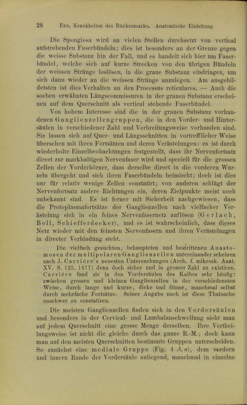 Die Spongiosa wird an vielen Stellen durchsetzt von vertical aufstrebenden Fascrblindeln; dies ist besonders an der Grenze gegen die weisse Substanz bin der Fall, und es bandelt sich hier urn Faser- blindel, welche sich auf kurze Strecken von den iibrigen Btindeln der weissen Strange loslosen, in die graue Substanz eindringen, um sich dann wieder an die weissen Strange anzulegen. Am ausgebil- detsten ist dies Verhalten an den Processus reticulares. — Audi die soeben erwahnten Langscommissuren in der grauen Substanz erschei- nen auf dem Querschnitt a Is vertical stehende Faserbtindel. Von hobem Interesse sind die in der grauen Substanz vorhan- denen Ganglienzellengruppen, die in den Vorder- und Hinter- saulen in verschiedener Zahl und Verbreitungsweise vorhanden sind. Sie lassen sich auf Quer- und Langsschnitten in vortrefflicher Weise ubersehen mit ihren Fortsatzen und deren Verastelungen: es ist durch wiederholte Einzelbeobachtungen festgestellt, dass ihr Nervenfortsatz direct zur markhaltigen Nervenfaser wird und speciell fur die grossen Zellen der Vorderhorner, dass derselbe direct in die vorderen Wur- zeln ubergeht und sich ihren Faserbundeln beimischt; doch ist dies nur fur relativ wenige Zellen constatirt; von anderen schlagt der Nervenfortsatz andere Eichtungen ein, deren Zielpunkte meist noch unbekannt sind. Es ist ferner mit Sicherheit nachgewiesen, dass die Protoplasmafortsatze der Ganglienzellen nach vielfacher Ver- astelung sich in ein feines Nervenfasernetz auflosen (G e r 1 a c h , Boll, Schiefferdecker), und es ist wahrscheinlich, dass dieses Netz wieder mit den feinsten Nervenfasern und ihren Verastelungen in directer Verbindung steht. Die vielfach gesuchten, behaupteten und bestritteneu Anasto- mosen der multipolar en Ganglienzellen untereinander scheinen nach J. Car Here's neuesten Untersuchungen (Arch. f. mikrosk. Anat. XV. S. 125. 1877) denn doch sicher und in grosser Zahl zu existiren. Carrie re fand sie in den Vordersaulen des Kalbes sehr haufig: zwischen grossen und kleinen Ganglienzellen in der verschiedensten Weise, durch lange und kurze, dicke und diinne, manchmal selbst durch mehrfache Fortsatze. Seiner Angabe nach ist diese Thatsache unschwer zu constatiren. Die meisten Ganglienzellen linden sich in den Vordersaulen und besonders in der Cervical- und Lumbalanschwellung sieht man auf jedem Querschnitt eine grosse Menge derselben. Hire Verthei- lungsweise ist nicht die gleiche durch das ganze K.-M.; doch kami man auf den meisten Querschnitten bestimmte Gruppen unterscheiden. So zunachst eine mediale Gruppe (Fig. ± A, a), dem verdern und innern Rande der Vordersaule anliegend, manchmal in einzelne