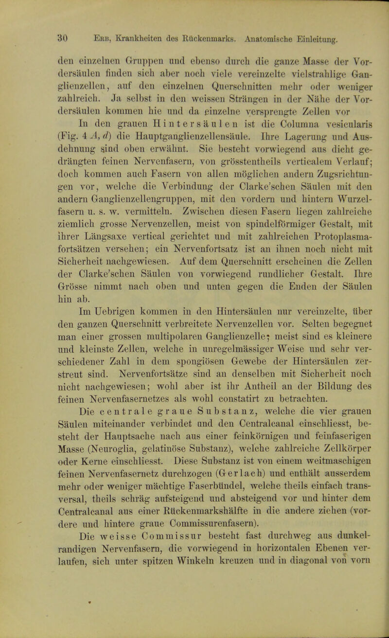 den einzelnen Gruppen und ebenso (lurch die ganze Masse der Vor- dersaulen linden sich aber noch viele vereinzelte vielstrahlige Gan- glienzellcn, attf den einzelnen Querschnitten mehr oder weniger zahlreich. Ja selbst in den weissen Strangen in der Nahe der Vor- dcrsaulen kommen hie und da einzelne vjeraprengte Zellen vqt In den grauen H i n t e r s a u 1 e n ist die Columna vesicularis (Fig. 4 A, (I) die Hauptganglienzellensaule. Ihre Lagerung and Aus- dehnung sind oben erwahnt. Sie besteht vorwiegend aus dicht ge- drangten feinen Nervenfasern, von grosstentheils verticalem Verlauf; doch kommen auch Fasern von alien moglichen andern Zugsrichtun- gen vor, welche die Verbindung der Clarke'schen Saulen mit den andern Ganglienzellengruppen, mit den vordern und hintern Wurzel- fasern u. s. w. vermitteln. Zwischen diesen Fasern liegen zahlreiche ziemlich grosse Nervenzellen, meist von spindelfdrmiger Gestalt, mit ihrer Langsaxe vertical gerichtet und mit zahlreichen Protoplasma- fortsatzen versehen; ein Nervenfortsatz ist an ihnen noch nicht mit Sicherheit nachgewiesen. Auf dem Querschnitt erscheinen die Zellen der Clarke'schen Saulen von vorwiegend rundlicher Gestalt. Ihre Grosse nimmt nach oben und unten gegen die Enden der Saulen hin ab. Im Uebrigen kommen in den Hintersaulen nur vereinzelte, iiber den ganzen Querschnitt verbreitete Nervenzellen vor. Selten begegnet man einer grossen multipolaren Ganglienzellej meist sind es kleinere und kleinste Zellen, welche in unregelmassiger Weise und sehr ver- schiedener Zahl in dem spongiosen Gewebe der Hintersaulen zer- sti'eut sind. Nervenfortsatze sind an denselben mit Sicherheit noch nicht nachgewiesen; wohl aber ist ihr Antheil an der Bildung des feinen Nervenfasernetzes als wohl constatirt zu betrachten. Die cent rale graue Substanz, welche die vier grauen Saulen miteinander verbindet and den Centralcanal einschliesst, be- steht der Hauptsache nach aus einer feinkornigen und feinfaserigen Masse (Neuroglia, gelatinose Substanz), welche zahlreiche Zellkorper oder Kerne einschliesst. Diese Substanz ist von einem weitmaschigcn feinen Nervenfasernetz durchzogen (Gerlach) und enthalt ausserdem mehr oder weniger machtige Faserbtindel, welche theils einfach trans- versal, theils schrag aufsteigend und absteigend vor und hinter dem Centralcanal aus einer Ruckenmarkshalfte in die andere ziehen (vor- dere und hintere graue Commissurenfasern). Die weisse Commissur besteht fast (lurchweg aus dunkel- randigen Nervenfasern, die vorwiegend in horizontalen Ebenen ver- laufen, sich unter spitzen Winkeln kreuzen und in diagonal von vorn