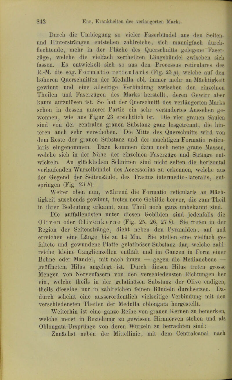 Dutch die Unibiegung so vieler Faserbtindel aus den Seiten- und Hinterstrangen entstehen zalilreiclie, sich mannigfach durch- flechtende, melir in der Flacbe des Querschnitts gelegene Faser- ziige, welche die vielfach zertheilten Langsblindel zwischen sich fassen. Es entwickelt sich so aus deu Processus reticulares des R.-M. die sog. Formatio reticularis (Fig. 23 </), welche auf deu hoheren Querschnitten der Medulla obi. immer mehr au Machtigkeit gewiuut uud eine allseitige Verbindung zwischen den eiuzelueu Theilen uud Faserzligen des Marks herstellt, deren Gewirr aber kaum aufzulosen ist. So hat der Querschuitt des verlaugerteu Marks schon in dessen unterer Partie ein sehr verandertes Aussehen ge- wonnen, wie aus Figur 23 ersichtlich ist. Die vier grauen Saulen siud von der centralen grauen Substanz ganz losgetrennt, die hin- teren auch sehr verschoben. Die Mitte des Querschnitts wird von dem Reste der grauen Substanz uud der niachtigen Formatio reticu- laris eingenommen. Dazu kommen dann noch neue graue Massen, welche sich in der Nahe der einzelnen Faserziige und Strange eut- wickeln. An glucklichen Schnitten sind nicht selten die horizontal verlaufeuden Wurzelbiindel des Accessorius zu erkennen, welche aus der Gegend der Seitensaule, des Tractus intermedio-lateralis, eut- springen (Fig. 23 h). Weiter oben nun, wahrend die Formatio reticularis an Mach- tigkeit zusehends gewinnt, treten neue Gebilde hervor, die zum Theil in ihrer Bedeutung erkanut, zum Theil noch ganz unbekauut sind. Die auffallendsten unter diesen Gebilden sind jedenfalls die Oliven oder Olivenkerne (Fig. 25, 26, 21b). Sie treten iu der Region der Seitenstrange, dicht neben den Pyramiden, auf und erreichen eine Lange bis zu 14 Mm. Sie stellen eine vielfach ge- faltete und gewuudene Platte gelatinoser Substanz dar, welche zahl- reiche kleine Ganglienzelleu enthalt und im Ganzen iu Form einer Bohne oder Mandel, mit nach innen — gegen die Medianebeue — geoffnetem Hilus angelegt ist. Durch diesen Hilus treten grosse Mengen von Nervenfasern von den verschiedensten Richtungen her ein, welche theils in der gelatinosen Substanz der Olive endigen, theils dieselbe nur in zahlreichen feiuen Bttndeln durchsetzen. Da- durch scheint eine ausserordentlich vielseitige Verbindung mit den verschiedensten Theilen der Medulla oblongata hergestellt. Weiterhin ist eine ganze Reihe von grauen Kernen zu benierken, welche meist in Beziehung zu gewissen Hirnnerven stehen uud a Is Oblongata-Urspriinge von deren Wurzeln zu betrachten sind: Zunachst neben der Mittellinie, mit dem Centralcanal nach