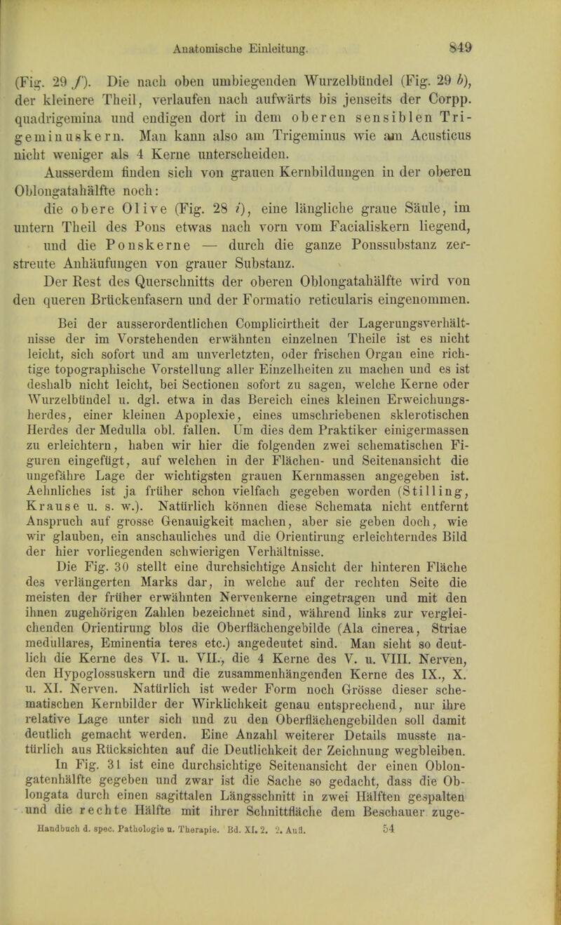 (Fig. 29 /). Die nach oben mnbiegenden Wurzelbtindel (Fig. 29 /;), der kleinere Theil, verlaufen nach aufwarts bis jenseits der Corpp. quadrigemina uud endigen dort in dem oberen sensiblen Tri- geminus kern. Man kann also am Trigeminus wie am Acusticus niebt weniger als 4 Kerne unterscbeiden. Ausserdem finden sicb von grauen Kernbildungen in der oberen Oblongatabalfte nocb: die obere Olive (Fig. 28 i), eine langliche graue Saule, im untern Tbeil des Pons etwas nach vorn vom Facialiskern liegend, und die Ponskerne — durcb die ganze Ponssubstanz zer- streute Anhaufungen von grauer Substanz. Der Rest des Querscbnitts der oberen Oblongatabalfte wird von den queren Briickenfasern und der Formatio reticularis eingenommen. Bei der ausserordentlicben Complicirtheit der Lagerungsverhalt- nisse der im Vorstehenden erwabnten einzelnen Tbeile ist es nicht leickt, sicb sofort und am unverletzten, oder frischen Organ eine rich- tige topograpbisclie Vorstellung aller Einzelheiten zu macben und es ist deshalb nicbt leicbt, bei Sectionen sofort zu sagen, welcbe Kerne oder Wurzelbtindel u. dgl. etwa in das Bereicb eines kleinen Erweichungs- herdes, einer kleinen Apoplexie, eines umscbriebenen sklerotischen Herdes der Medulla obi. fallen. Urn dies dem Praktiker einigermassen zu erleichtern, baben wir bier die folgenden zwei scbematiscben Fi- guren eingeftigt, auf welchen in der Flachen- und Seitenansicht die ungefahre Lage der wicbtigsten grauen Kernmassen angegeben ist. Aebnlicbes ist ja frtiher schon vielfach gegeben worden (Stilling, Krause u. s. w.). Nattirlicb konnen diese Scbemata nicbt entfernt Ansprucb auf grosse Genauigkeit macben, aber sie geben docb, wie wir glauben, ein anschaulicbes und die Orientirung erleicbterndes Bild der hier vorliegenden scbwierigen Verhaltnisse. Die Fig. 30 stellt eine durchsicbtige Ansicbt der binteren Flache des verlangerten Marks dar, in welcbe auf der recbten Seite die meisten der frtiher erwabnten Nervenkerne eingetragen und mit den ihnen zugekorigen Zablen bezeicbnet sind, wahrend links zur verglei- chenden Orientirung bios die Oberflachengebilde (Ala cinerea, Striae medullares, Eminentia teres etc.) angedeutet sind. Man siebt so deut- Uch die Kerne des VI. u. VII., die 4 Kerne des V. u. VIII. Nerven, den Hypoglossuskern und die zusammenhangenden Kerne des IX., X. u. XI. Nerven. Nattirlicb ist weder Form noch Grosse dieser scbe- matiscben Kernbilder der Wirklicbkeit genau entsprecbend, nur ibre relative Lage unter sich und zu den Oberflacbengebilden soil damit deutlich gemacbt werden. Eine Anzabl weiterer Details musste na- ttirlicb aus Rticksicbten auf die Deutlicbkeit der Zeicbnung wegbleiben. In Fig. 31 ist eine durchsicbtige Seitenansicht der einen Oblon- gatenhalfte gegeben und zwar ist die Sache so gedacht, dass die Ob- longata durcb einen sagittalen Langsschnitt in zwei Halften gespalten und die rechte Halfte mit ihrer Schnittfiache dem Beschauer zuge- Uandbach d. spec. Pathologie u. Therapie. Bd. XI. 2. 2. Anfl. 54