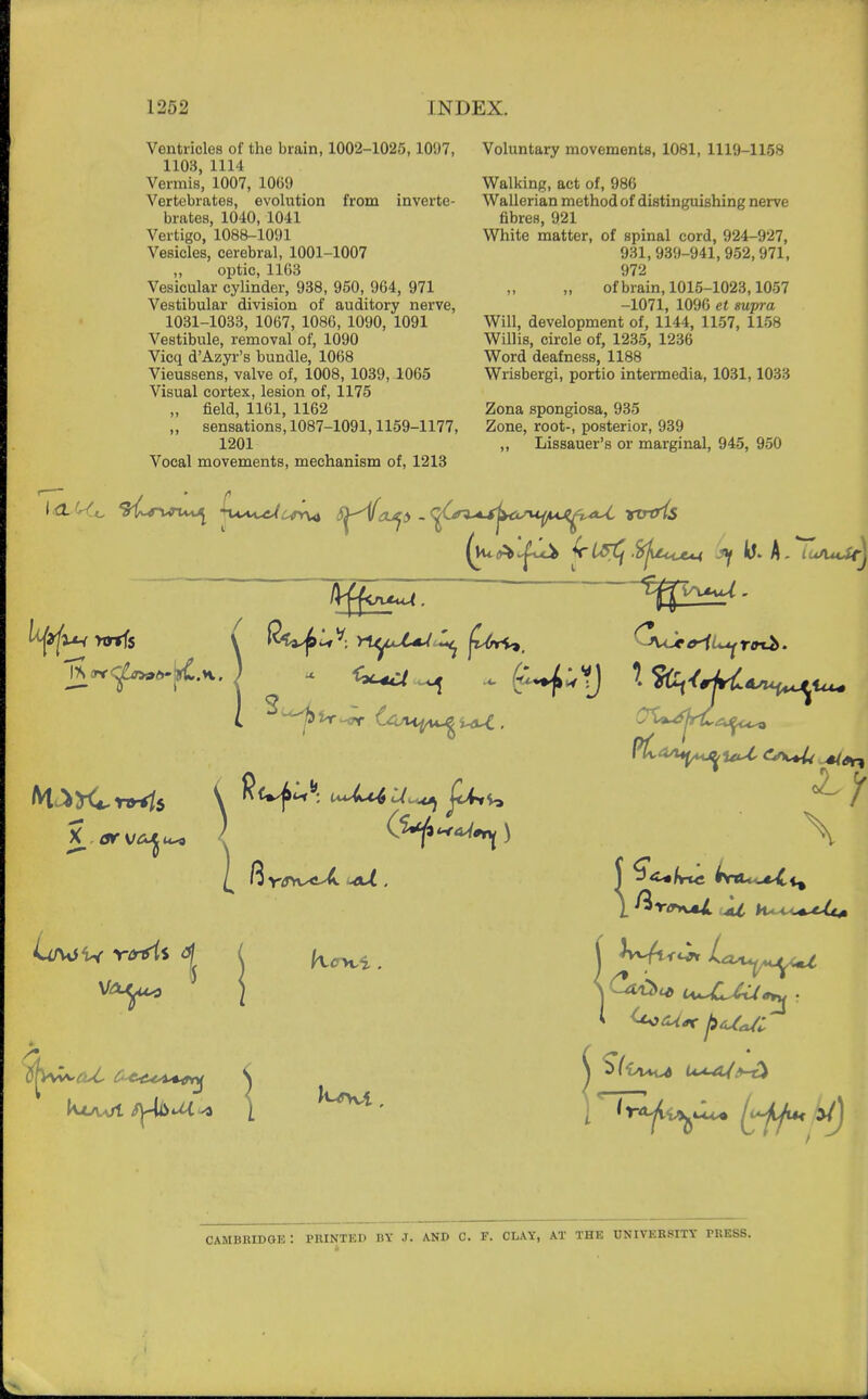 Ventricles of the brain, 1002-1025, 10*.)7, 1103, 1114 Vermis, 1007, 1069 Vertebrates, evolution from inverte- brates, 1040, 1041 Vertigo, 1088-1091 Vesicles, cerebral, 1001-1007 ,, optic, 1163 Vesicular cylinder, 938, 950, 964, 971 Vestibular division of auditory nerve, 1031-1033, 1067, 1086, 1090, 1091 Vestibule, removal of, 1090 Vicq d'Azyr's bundle, 1068 Vieussens, valve of, 1008, 1039, 1065 Visual cortex, lesion of, 1175 „ field, 1161, 1162 „ sensations, 1087-1091,1159-1177, 1201 Vocal movements, mechanism of, 1213 Voluntary movements, 1081, 1119-1158 Walking, act of, 986 Wallerian method of distinguishing nerve fibres, 921 White matter, of spinal cord, 924-927, 931,939-941,952,971, 972 of brain, 1015-1023,1057 -1071, 1096 et supra Will, development of, 1144, 1157, 1158 Willis, circle of, 1235, 1236 Word deafness, 1188 Wrisbergi, portio intermedia, 1031,1033 Zona spongiosa, 935 Zone, root-, posterior, 939 ,, Lissauer's or marginal, 945, 950 X_ Of SJCJ^ cc* Cambridge PRINTED BY J. AND C. F. CLAY, AT THE UNIVERSITY TltESS.