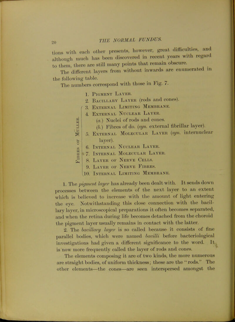n I—I 20 THE NORMAL FUNDUS. tions with each other presents, however, great difficulties, and although nuich has been discovered in recent years with regard to them, there are still many points that remain obscure. The different layers from without inwards are enumerated in the following table. The numbers correspond with those in Fig. 7. 1. Pigment Layer. 2. Bacillary Layer (rods and cones). 3. External Limiting Membrane. 4. External Nuclear Layer. {a.) Nuclei of rods and cones. (5.) Fibres of do. [syn. external fibrillar layer). 5. External Molecular Layer {syn. internuclear layer). 6. Internal Nuclear Layer. 7. Internal Molecular Layer. 8. Layer of Nerve Cells. 9. Layer of Nerve Fibres. 10. Internal Limiting Membrane. 1. The pigment layer has already been dealt with. It sends doAvn processes between the elements of the next layer to an extent which is believed to increase with the amount of light entering the eye. Notwithstanding this close connection with the bacil- lary layer, in microscopical preparations it often becomes separated, and when the retina during life becomes detached from the choroid the pigment layer usually remains in contact with the latter. 2. The bacillary layer is so called because it consists of fine parallel bodies, which were named hacilU before bacteriological investigations had given a different significance to the word. It^ is now more frequently called the layer of rods and cones. The elements composing it are of two kinds, the more numerous are straight bodies, of uniform thickness; these are the  rods. The other elements—the cones—are seen interspersed amongst the