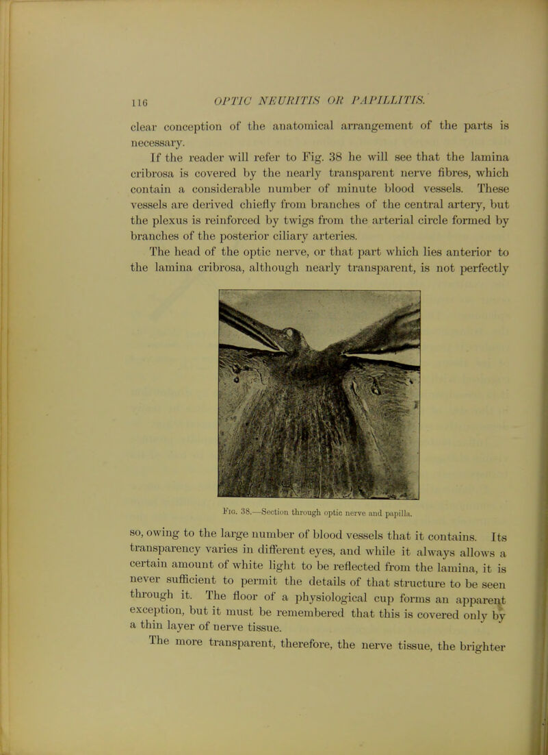 clear conception of the anatomical arrangement of the parts is necessary. If the reader will refer to Fig. 38 he will see that the lamina cribrosa is covered by the neai'ly transparent nerve fibres, which contain a considerable number of minute blood vessels. These vessels are derived chiefly from branches of the central artery, but the plexus is reinforced by twigs from the arterial circle formed by branches of the posterior ciliary arteries. The head of the optic nerve, or that part which lies anterior to the lamina cribrosa, although nearly transparent, is not perfectly Fig. 38.—Section through optic nerve and papilla. SO, owing to the large number of blood vessels that it contains. Its transparency varies in different eyes, and while it always allows a certain amount of white light to be reflected from the lamina, it is never sufficient to permit the details of that structure to be seen through it. The floor of a physiological cup forms an appareut exception, but it must be remembered that this is covered only by a thin layer of nerve tissue. The more transparent, therefore, the nerve tissue, the brighter