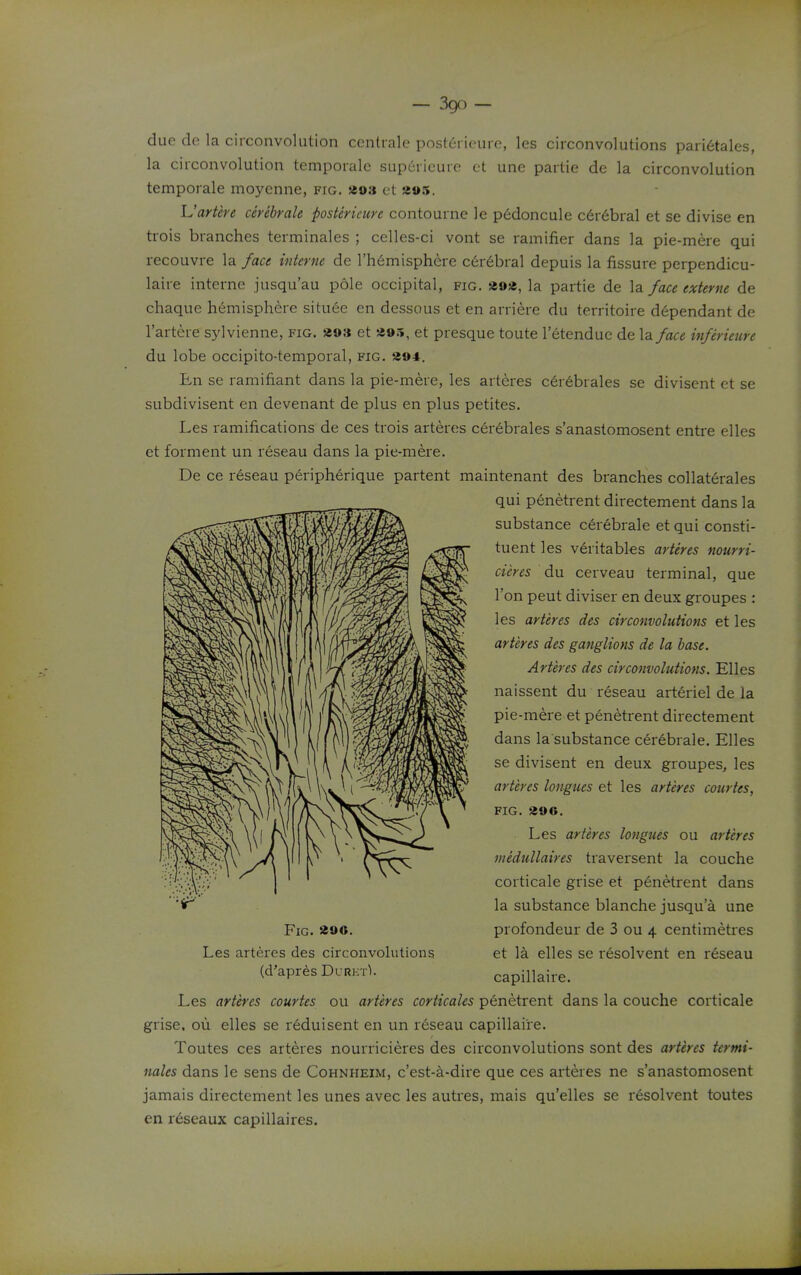 due de la circonvolution centrale posl6rieure, les circonvolutions pari6tales, la circonvolution temporalc sup6ricuie et une partie de la circonvolution temporale moyenne, fig. «93 et a»5. L'artere cerebrale posUricure contourne le p6doncule c6r6bral et se divise en trois branches terminales ; celles-ci vont se ramifier dans la pie-mere qui recouvre la face interne de rh6misphere c6r6bral depuis la fissure perpendicu- laire interne jusqu'au pole occipital, fig. 29«, la partie de la face externe de chaque hemisphere situ6e en dessous et en arriere du territoire d6pendant de l'artere sylvienne, fig. aos et «9.>, et presque toute I'etendue de la face inferieure du lobe occipito-temporal, fig. ao*. En se ramifiant dans la pie-mere, les arteres cer6brales se divisent et se subdivisent en devenant de plus en plus petites. Les ramifications de ces trois arteres cerebrales s'anastomosent entre elles et forment un reseau dans la pie-mere. De ce reseau peripherique partent maintenant des branches collaterales qui penetrent directement dans la substance cerebrale et qui consti- tuent les veritables arteres nourri- cieres du cerveau terminal, que Ton pent diviser en deux groupes : les arteres des circonvolutions et les arteres des ganglions de la base. Arteres des circonvolutions. Elles naissent du reseau arteriel de la pie-mere et penetrent directement dans la substance cerebrale. Elles se divisent en deux groupes, les arteres tongues et les arteres courtes, fig. 396. Les arteres tongues ou arteres medullaires traversent la couche corticale grise et penetrent dans la substance blanche jusqua une profondeur de 3 ou 4 centimetres et la elles se resolvent en reseau capillaire. Les arteres courtes ou arteres corticales penetrent dans la couche corticale grise. ou elles se reduisent en un reseau capillaire. Toutes ces arteres nourricieres des circonvolutions sont des arteres termi- nales dans le sens de Cohnheim, c'est-a-dire que ces arteres ne s'anastomosent jamais directement les unes avec les autres, mais qu'elles se resolvent toutes en r6seaux capillaires.