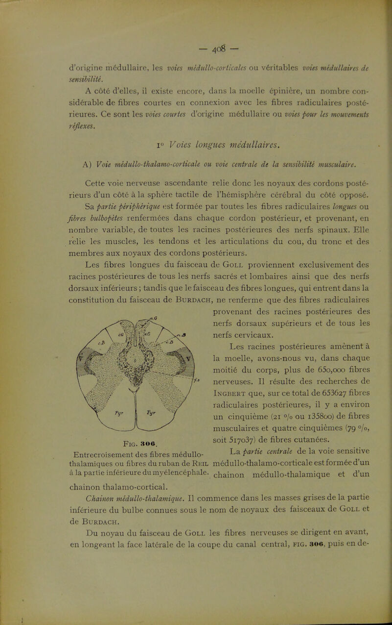 d'origine m6dullaire, les votes mcdullo-corticalcs ou v6ritables voies medullaires de sensibiliU. A c6t6 d'elles, il existe encore, dans la moelle dpiniere, un nombre con- sid6rable de fibres courtes en connexion avec les fibres radiculaires post6- rieures. Ce sont les voies courtes d'origine m6dullaire ou voies pour les mouvetnents reflexes. I Voies longues medullaires. A) Voie medullo-thalamo-corticale ou voie centrale de la sensibiliU musculaire. Cette voie nerveuse ascendante relie done les noyaux des cordons post6- rieurs d'un cote a la sphere tactile de I'hemisphere cerebral du c6t6 oppose. Sa partie peripherique est formee par toutes les fibres radiculaires longues ou fibres hiilbopetes renfermees dans chaque cordon posterieur, et provenant, en nombre variable, de toutes les racines posterieures des nerfs spinaux. Elle relie les muscles, les tendons et les articulations du cou, du tronc et des membres aux noyaux des cordons posterieurs. Les fibres longues du faisceau de Goll proviennent exclusivement des racines posterieures de tous les nerfs sacres et lombaires ainsi que des nerfs dorsaux inferieui's; tandis que le faisceau des fibres longues, qui entrent dans la constitution du faisceau de Burdach, ne renfei'me que des fibres radiculaires provenant des racines posterieures des nerfs dorsaux superieurs et de tous les nerfs cervicaux. Les racines posterieures amenent a la moelle, avons-nous vu, dans chaque moitie du corps, plus de 65o,ooo fibres nerveuses. II resulte des recherches de Ingbert que, sur ce total de 653627 fibres radiculaires posterieures, il y a environ un cinquieme (21 °/o ou i358oo) de fibres musculaires et quatre cinquiemes (79 0/0, soit 517037) de fibres cutanees. Entrecroisement des fibres medullo- La partie centrale de la voie sensitive thalamiques ou fibres du ruban de Rkil medullo-thalamo-corticale est form6e d'un alapartieinferieuredumyelencephale. j^j^ainon medullo-thalamique et d'un chainon thalamo-cortical. Chainon medullo-tkalamigue. II commence dans les masses grises de la partie inf6rieui-e du bulbe connues sous le nom de noyaux des faisceaux de Goll et de Burdach. Du noyau du faisceau de Goll les fibres nerveuses se dirigent en avant, en longeant la face lat6rale de la coupe du canal central, fig. 306, puis en de-