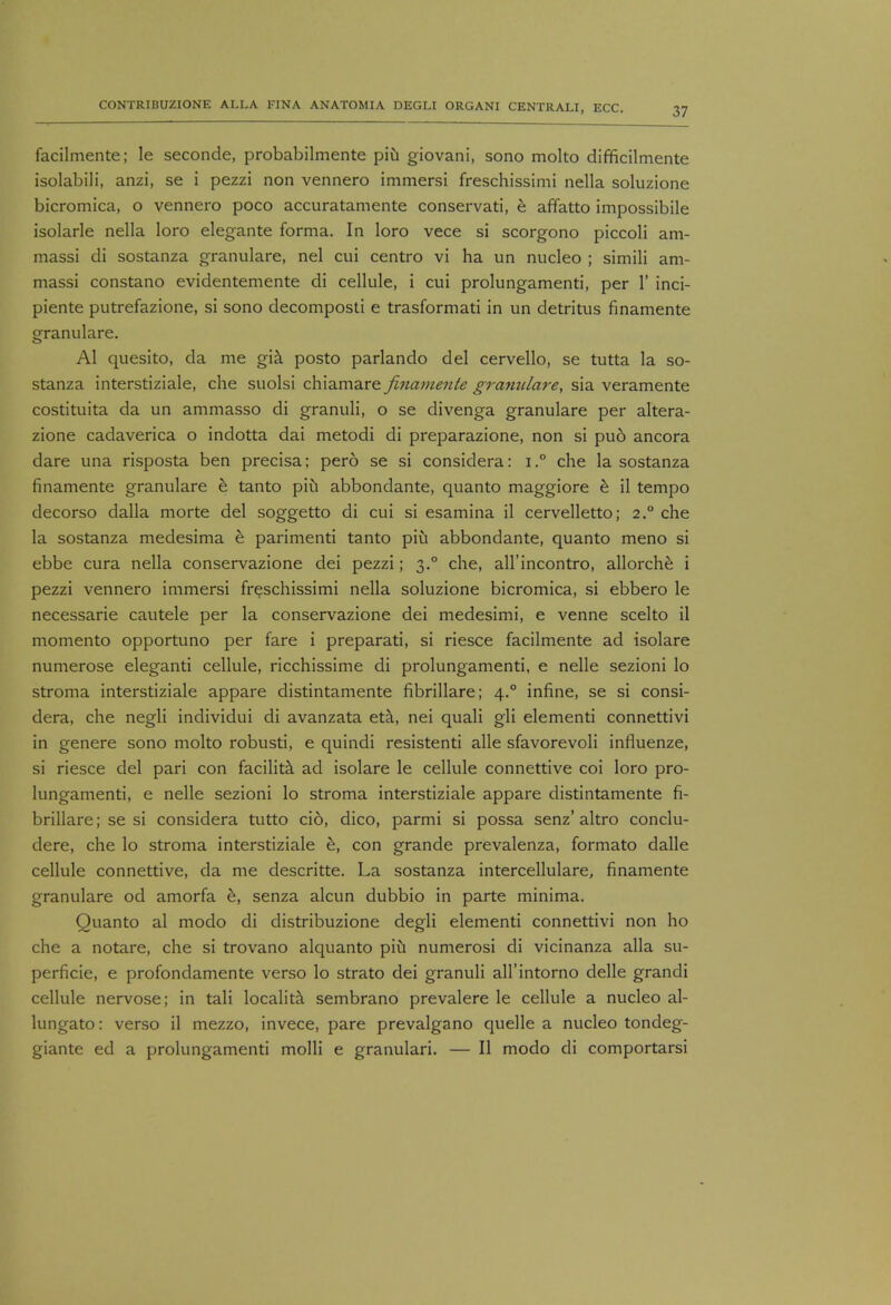 facilmente; le seconde, probabilmente piu giovani, sono molto difficilmente isolabili, anzi, se i pezzi non vennero immersi freschissimi nella soluzione bicromica, o vennero poco accuratamente conservati, e affatto impossibile isolarle nella loro elegante forma. In loro vece si scorgono piccoli am- massi di sostanza granulare, nel cui centro vi ha un nucleo ; simili am- massi constano evidentemente di cellule, i cui prolungamenti, per 1' inci- piente putrefazione, si sono decomposti e trasformati in un detritus finamente granulare. Al quesito, da me gia posto parlando del cervello, se tutta la so- stanza interstiziale, che suolsi chiamare finamente grayiidare, sia veramente costituita da un ammasso di granuli, o se divenga granulare per altera- zione cadaverica o indotta dai metodi di preparazione, non si puo ancora dare una risposta ben precisa; pero se si considera: i ° che la sostanza finamente granulare e tanto piu abbondante, quanto maggiore e il tempo decorso dalla morte del soggetto di cui si esamina il cervelletto; 2° che la sostanza medesima e parimenti tanto piu abbondante, quanto meno si ebbe cura nella conservazione dei pezzi; 3.0 che, all'incontro, allorche i pezzi vennero immersi freschissimi nella soluzione bicromica, si ebbero le necessarie cautele per la conservazione dei medesimi, e venne scelto il momento opportuno per fare i preparati, si riesce facilmente ad isolare numerose eleganti cellule, ricchissime di prolungamenti, e nelle sezioni lo stroma interstiziale appare distintamente fibrillare; 4.0 infine, se si consi- dera, che negli individui di avanzata eta, nei quali gli elementi connettivi in genere sono molto robusti, e quindi resistenti alle sfavorevoli influenze, si riesce del pari con facilita ad isolare le cellule connettive coi loro pro- lungamenti, e nelle sezioni lo stroma interstiziale appare distintamente fi- brillare; se si considera tutto cid, dico, parmi si possa senz* altro conclu- dere, che lo stroma interstiziale e, con grande prevalenza, formato dalle cellule connettive, da me descritte. La sostanza intercellulare, finamente granulare od amorfa e, senza alcun dubbio in parte minima. Quanto al modo di distribuzione degli elementi connettivi non ho che a notare, che si trovano alquanto piu numerosi di vicinanza alia su- perficie, e profondamente verso lo strato dei granuli all'intorno delle grandi cellule nervose; in tali localita sembrano prevalere le cellule a nucleo al- lungato: verso il mezzo, invece, pare prevalgano quelle a nucleo tondeg- giante ed a prolungamenti molli e granulari. — II modo di comportarsi