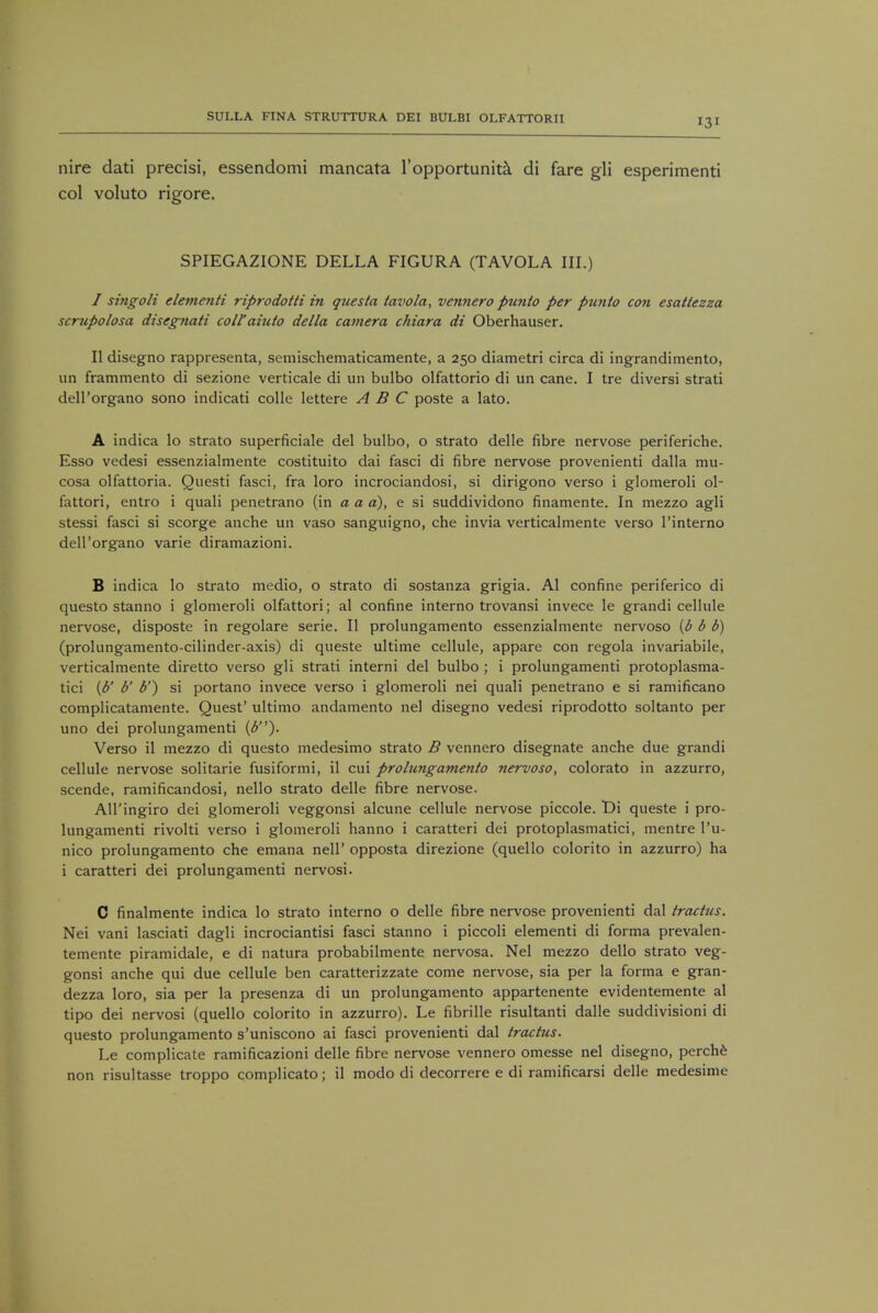 nire dati precisi, essendomi mancata l'opportunita di fare gli esperimenti col voluto rigore. SPIEGAZIONE DELLA FIGURA (TAVOLA III.) / singoli elementi riprodotti in questa tavola, vennero punio per punto con esattezza scrupolosa disegnati coll'aiuto della camera chiara di Oberhauser. II disegno rappresenta, scmischematicamente, a 250 diametri circa di ingrandimento, un frammento di sezione verticale di un bulbo olfattorio di un cane. I tre diversi strati dell'organo sono indicati colle lettere ABC poste a lato. A indica lo strato superficial del bulbo, o strato delle fibre nervose periferiche. Esso vedesi essenzialmente costituito dai fasci di fibre nervose provenienti dalla mu- cosa olfattoria. Questi fasci, fra loro incrociandosi, si dirigono verso i glomeroli ol- fattori, entro i quali penetrano (in a a a), e si suddividono finamente. In mezzo agli stessi fasci si scorge anche un vaso sanguigno, che invia verticalmente verso l'interno dell'organo varie diramazioni. B indica lo strato medio, o strato di sostanza grigia. Al confine periferico di questo stanno i glomeroli olfattori; al confine interno trovansi invece le grandi cellule nervose, disposte in regolare serie. II prolungamento essenzialmente nervoso (b b b) (prolungamento-cilinder-axis) di queste ultime cellule, appare con regola invariabile, verticalmente diretto verso gli strati interni del bulbo ; i prolungamenti protoplasma- tici (b' b' b') si portano invece verso i glomeroli nei quali penetrano e si ramificano complicatamente. Quest' ultimo andamento nel disegno vedesi riprodotto soltanto per uno dei prolungamenti (b). Verso il mezzo di questo medesimo strato B vennero disegnate anche due grandi cellule nervose solitarie fusiformi, il cui prolungamento nervoso, colorato in azzurro, scende, ramificandosi, nello strato delle fibre nervose. All'ingiro dei glomeroli veggonsi alcune cellule nervose piccole. Di queste i pro- lungamenti rivolti verso i glomeroli hanno i caratteri dei protoplasmatici, mentre Pu- nico prolungamento che emana nelP opposta direzione (quello colorito in azzurro) ha i caratteri dei prolungamenti nervosi. C finalmente indica lo strato interno o delle fibre nervose provenienti dal tractus. Nei vani lasciati dagli incrociantisi fasci stanno i piccoli elementi di forma prevalen- temente piramidale, e di natura probabilmente nervosa. Nel mezzo dello strato veg- gonsi anche qui due cellule ben caratterizzate come nervose, sia per la forma e gran- dezza loro, sia per la presenza di un prolungamento appartenente evidentemente al tipo dei nervosi (quello colorito in azzurro). Le fibrille risultanti dalle suddivisioni di questo prolungamento s'uniscono ai fasci provenienti dal tractus. Le complicate ramificazioni delle fibre nervose vennero omesse nel disegno, perche non risultasse troppo complicato; il modo di decorrere e di ramificarsi delle medesime