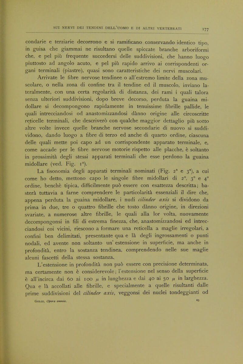 177 condarie e terziarie decorrono e si ramificano conservando identico tipo, in guisa che giammai ne risultano quelle spiccate branche arboriformi che, e pel piu frequente succedersi delle suddivisioni, che hanno luogo piuttosto ad angolo acuto, e pel piu rapido arrivo ai corrispondenti or- gani terminali (piastre), quasi sono caratteristiche dei nervi muscolari. Arrivate le fibre nervose tendinee o all'estremo limite della zona mu- scolare, o nella zona di confine tra il tendine ed il muscolo, inviano la- teralmente, con una certa regolarita di distanza, dei rami i quali talora senza ulteriori suddivisioni, dopo breve decorso, perduta la guaina mi- dollare si decompongono rapidamente in tenuissime fibrille pallide, le quali intrecciandosi od anastomizzandosi danno origine alle circoscritte reticelle terminali, che descrivero con qualche maggior dettaglio piu sotto altre volte invece quelle branche nervose secondarie di nuovo si suddi- vidono, dando luogo a fibre di terzo ed anche di quarto ordine, ciascuna delle quali mette poi capo ad un corrispondente apparato terminale, e, come accade per le fibre nervose motorie rispetto alle placche, e soltanto in prossimita degli stessi apparati terminali che esse perdono la guaina midollare (ved. Fig. ia). La fisonomia degli apparati terminali nominati (Fig. 2a e 3*), a cui come ho detto, mettono capo le singole fibre midollari di 2°. 3° e 40 ordine, benche tipica, difficilmente pud essere con esattezza descritta; ba- stera. tuttavia a fame comprendere le particolarita. essenziali il dire che, appena perduta la guaina midollare, i nudi cilinder axis si dividono da prima in due, tre o quattro fibrille che tosto danno origine, in direzioni svariate, a numerose altre fibrille, le quali alia lor volta, nuovamente decompongonsi in fili di estrema finezza, che, anastomizzandosi ed intrec- ciandosi coi vicini, riescono a formare una reticella a maglie irregolari, a confini ben delimitati, presentante qua e la degli ingrossamenti o punti nodali, ed avente non soltanto un' estensione in superficie, ma anche in profondita, entro la sostanza tendinea, comprendendo nelle sue maglie alcuni fascetti della stessa sostanza. L'estensione in profondita non pu6 essere con precisione determinata, ma certamente non e considerevole; l'estensione nel senso della superficie e all'incirca dai 60 ai 100 ,tt in lunghezza e dai 40 ai 50 fi in larghezza. Qua e la accollati alle fibrille, e specialmente a quelle risultanti dalle prime suddivisioni del cilinder axis, veggonsi dei nuclei tondeggianti od Golgi, Opera omnia. *3