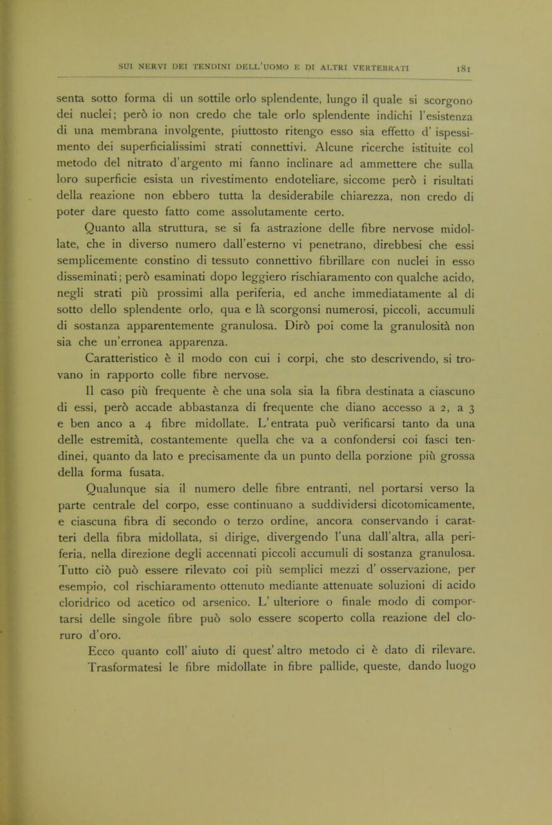 senta sotto forma di un sottile orlo splendente, lungo il quale si scorgono dei nuclei; per6 io non credo che tale orlo splendente indichi l'esistenza di una membrana involgente, piuttosto ritengo esso sia effetto d' ispessi- mento dei superficialissimi strati connettivi. Alcune ricerche istituite col metodo del nitrato d'argento mi fanno inclinare ad ammettere che sulla loro superficie esista un rivestimento endoteliare, siccome per6 i risultati della reazione non ebbero tutta la desiderabile chiarezza, non credo di poter dare questo fatto come assolutamente certo. Quanto alia struttura, se si fa astrazione delle fibre nervose midol- late, che in diverso numero dall'esterno vi penetrano, direbbesi che essi semplicemente constino di tessuto connettivo fibrillare con nuclei in esso disseminati; pero esaminati dopo leggiero rischiaramento con qualche acido, negli strati piu prossimi alia periferia, ed anche immediatamente al di sotto dello splendente orlo, qua e la scorgonsi numerosi, piccoli, accumuli di sostanza apparentemente granulosa. Diro poi come la granulosity non sia che un'erronea apparenza. Caratteristico e il modo con cui i corpi, che sto descrivendo, si tro- vano in rapporto colle fibre nervose. II caso piu frequente e che una sola sia la fibra destinata a ciascuno di essi, pero accade abbastanza di frequente che diano accesso a 2, a 3 e ben anco a 4 fibre midollate. L'entrata puo verificarsi tanto da una delle estremita, costantemente quella che va a confondersi coi fasci ten- dinei, quanto da lato e precisamente da un punto della porzione piu grossa della forma fusata. Qualunque sia il numero delle fibre entranti, nel portarsi verso la parte centrale del corpo, esse continuano a suddividersi dicotomicamente, e ciascuna fibra di secondo o terzo ordine, ancora conservando i carat- teri della fibra midollata, si dirige, divergendo l'una dall'altra, alia peri- feria, nella direzione degli accennati piccoli accumuli di sostanza granulosa. Tutto ci6 pu6 essere rilevato coi piu semplici mezzi d' osservazione, per esempio, col rischiaramento ottenuto mediante attenuate soluzioni di acido cloridrico od acetico od arsenico. L' ulteriore o finale modo di compor- tarsi delle singole fibre puo solo essere scoperto colla reazione del clo- ruro d'oro. Ecco quanto coll' aiuto di quest' altro metodo ci e dato di rilevare. Trasformatesi le fibre midollate in fibre pallide, queste, dando luogo