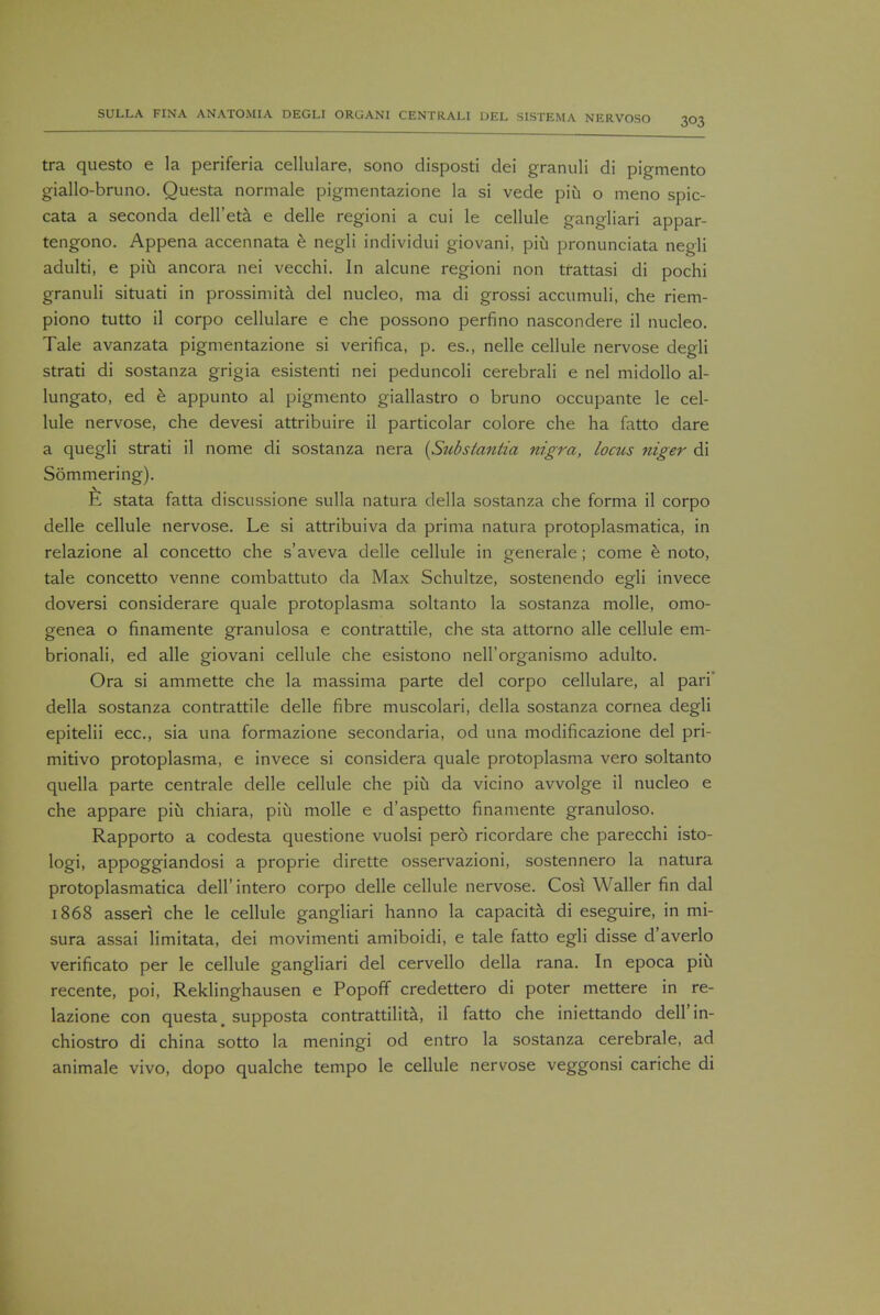 tra questo e la periferia cellulare, sono disposti dei granuli di pigmento giallo-bruno. Questa normale pigmentazione la si vede piu o meno spic- cata a seconda dell'eta e delle regioni a cui le cellule gangliari appar- tengono. Appena accennata e negli individui giovani, piu pronunciata negli adulti, e piu ancora nei vecchi. In alcune regioni non tfattasi di pochi granuli situati in prossimita del nucleo, ma di grossi accumuli, che riem- piono tutto il corpo cellulare e che possono perfino nascondere il nucleo. Tale avanzata pigmentazione si verifica, p. es., nelle cellule nervose degli strati di sostanza grigia esistenti nei peduncoli cerebrali e nel midollo al- lungato, ed e appunto al pigmento giallastro o bruno occupante le cel- lule nervose, che devesi attribuire il particolar colore che ha fatto dare a quegli strati il nome di sostanza nera {Substantia nigra, locus niger di Sommering). fi stata fatta discussione sulla natura della sostanza che forma il corpo delle cellule nervose. Le si attribuiva da prima natura protoplasmatica, in relazione al concetto che s'aveva delle cellule in generale; come b noto, tale concetto venne combattuto da Max Schultze, sostenendo egli invece doversi considerare quale protoplasma soltanto la sostanza molle, omo- genea o finamente granulosa e contrattile, che sta attorno alle cellule em- brionali, ed alle giovani cellule che esistono neH'organismo adulto. Ora si ammette che la massima parte del corpo cellulare, al pari' della sostanza contrattile delle fibre muscolari, della sostanza cornea degli epitelii ecc, sia una formazione secondaria, od una modificazione del pri- mitivo protoplasma, e invece si considera quale protoplasma vero soltanto quella parte centrale delle cellule che piu da vicino avvolge il nucleo e che appare piu chiara, piu molle e d'aspetto finamente granuloso. Rapporto a codesta questione vuolsi pero ricordare che parecchi isto- logi, appoggiandosi a proprie dirette osservazioni, sostennero la natura protoplasmatica dell'intero corpo delle cellule nervose. Cosi Waller fin dal 1868 assert che le cellule gangliari hanno la capacita di eseguire, in mi- sura assai limitata, dei movimenti amiboidi, e tale fatto egli disse d'averlo verificato per le cellule gangliari del cervello della rana. In epoca piu recente, poi, Reklinghausen e Popoff credettero di poter mettere in re- lazione con questa, supposta contrattilita, il fatto che iniettando dell'in- chiostro di china sotto la meningi od entro la sostanza cerebrale, ad animale vivo, dopo qualche tempo le cellule nervose veggonsi cariche di