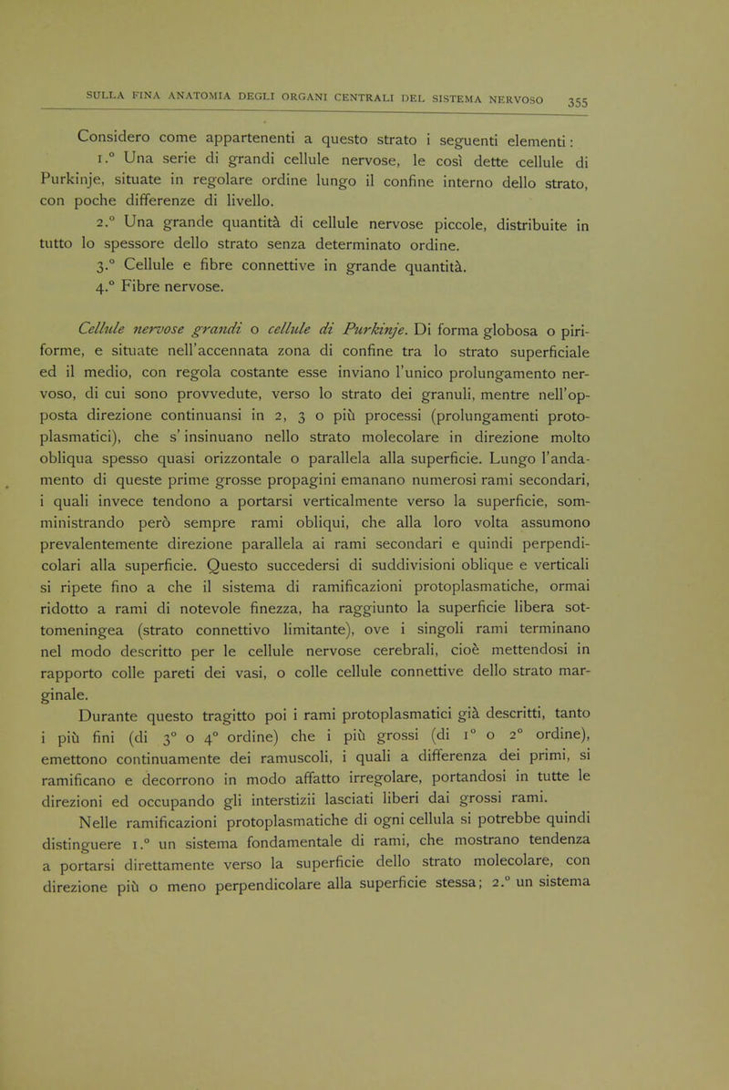 Considero come appartenenti a questo strato i seguenti elementi: r.° Una serie di grandi cellule nervose, le cosi dette cellule di Purkinje, situate in regolare ordine lungo il confine interno dello strato, con poche differenze di livello. 2.0 Una grande quantita di cellule nervose piccole, distribuite in tutto lo spessore dello strato senza determinato ordine. 3.0 Cellule e fibre connettive in grande quantita. 4.0 Fibre nervose. Cellule nervose grandi o cellule di Purkinje. Di forma globosa o piri- forme, e situate nell'accennata zona di confine tra lo strato superficiale ed il medio, con regola costante esse inviano l'unico prolungamento ner- voso, di cui sono provvedute, verso lo strato dei granuli, mentre nell'op- posta direzione continuansi in 2, 3 o piu processi (prolungamenti proto- plasmatici), che s' insinuano nello strato molecolare in direzione molto obliqua spesso quasi orizzontale o parallela alia superficie. Lungo l'anda- mento di queste prime grosse propagini emanano numerosi rami secondari, i quali invece tendono a portarsi verticalmente verso la superficie, som- ministrando pero sempre rami obliqui, che alia loro volta assumono prevalentemente direzione parallela ai rami secondari e quindi perpendi- colari alia superficie. Questo succedersi di suddivisioni oblique e verticali si ripete fino a che il sistema di ramificazioni protoplasmatiche, ormai ridotto a rami di notevole finezza, ha raggiunto la superficie libera sot- tomeningea (strato connettivo limitante), ove i singoli rami terminano nel modo descritto per le cellule nervose cerebrali, cioe mettendosi in rapporto colle pareti dei vasi, o colle cellule connettive dello strato mar- ginale. Durante questo tragitto poi i rami protoplasmatici gia descritti, tanto i piii fini (di 30 o 40 ordine) che i piu grossi (di i° o 20 ordine), emettono continuamente dei ramuscoli, i quali a differenza dei primi, si ramificano e decorrono in modo affatto irregolare, portandosi in tutte le direzioni ed occupando gli interstizii lasciati liberi dai grossi rami. Nelle ramificazioni protoplasmatiche di ogni cellula si potrebbe quindi distinguere i.° un sistema fondamentale di rami, che mostrano tendenza a portarsi direttamente verso la superficie dello strato molecolare, con direzione piu o meno perpendicolare alia superficie stessa; 2.0 un sistema