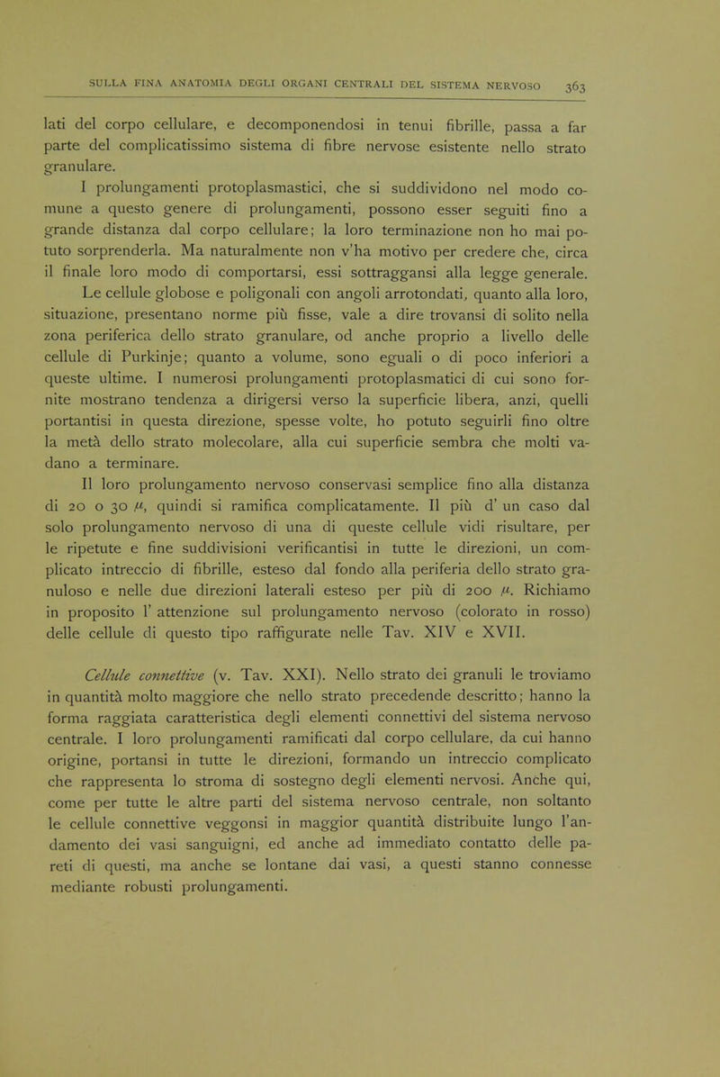 lati del corpo cellulare, e decomponendosi in tenui fibrille, passa a far parte del complicatissimo sistema di fibre nervose esistente nello strato granulare. I prolungamenti protoplasmastici, che si suddividono nel modo co- mune a questo genere di prolungamenti, possono esser seguiti fino a grande distanza dal corpo cellulare; la loro terminazione non ho mai po- tuto sorprenderla. Ma naturalmente non v'ha motivo per credere che, circa il finale loro modo di comportarsi, essi sottraggansi alia legge generale. Le cellule globose e poligonali con angoli arrotondati, quanto alia loro, situazione, presentano norme piu fisse, vale a dire trovansi di solito nella zona periferica dello strato granulare, od anche proprio a livello delle cellule di Purkinje; quanto a volume, sono eguali o di poco inferiori a queste ultime. I numerosi prolungamenti protoplasmatici di cui sono for- nite mostrano tendenza a dirigersi verso la superficie libera, anzi, quelli portantisi in questa direzione, spesse volte, ho potuto seguirli fino oltre la meta dello strato molecolare, alia cui superficie sembra che molti va- dano a terminare. II loro prolungamento nervoso conservasi semplice fino alia distanza di 20 o 30 f-i, quindi si ramifica complicatamente. II piu d' un caso dal solo prolungamento nervoso di una di queste cellule vidi risultare, per le ripetute e fine suddivisioni verificantisi in tutte le direzioni, un com- plicate intreccio di fibrille, esteso dal fondo alia periferia dello strato gra- nuloso e nelle due direzioni laterali esteso per piu di 200 Richiamo in proposito 1' attenzione sul prolungamento nervoso (colorato in rosso) delle cellule di questo tipo raffigurate nelle Tav. XIV e XVII. Cellule connettive (v. Tav. XXI). Nello strato dei granuli le troviamo in quantita molto maggiore che nello strato precedende descritto; hanno la forma raggiata caratteristica degli elementi connettivi del sistema nervoso centrale. I loro prolungamenti ramificati dal corpo cellulare, da cui hanno origine, portansi in tutte le direzioni, formando un intreccio complicato che rappresenta lo stroma di sostegno degli elementi nervosi. Anche qui, come per tutte le altre parti del sistema nervoso centrale, non soltanto le cellule connettive veggonsi in maggior quantita distribuite lungo l'an- damento dei vasi sanguigni, ed anche ad immediato contatto delle pa- red di questi, ma anche se lontane dai vasi, a questi stanno connesse mediante robusti prolungamenti.