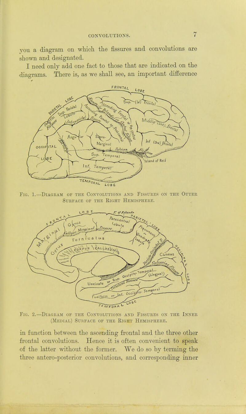 CONVOLUTIONS. you a diagram on which the fissures and convolutions are shown and designated. I need only add one fact to those that are indicated on the diagrams. There is, as we shall see, an important difference FRONTAL AL LOBE Fig. 1.—Diagram of the Convolutions and Fissures on the Outer Surface of the Right Hemisphere. O B E IT ej Roland* Fig. 2.—Diagram of the Convolutions and Fissures on the Inner (Medial) Surface of the Right Hemisphere. in function between the ascending frontal and the three other frontal convolutions. Hence it is often convenient to speak of the latter without the former. We do so by terming the three antero-posterior convolutions, and corresponding inner