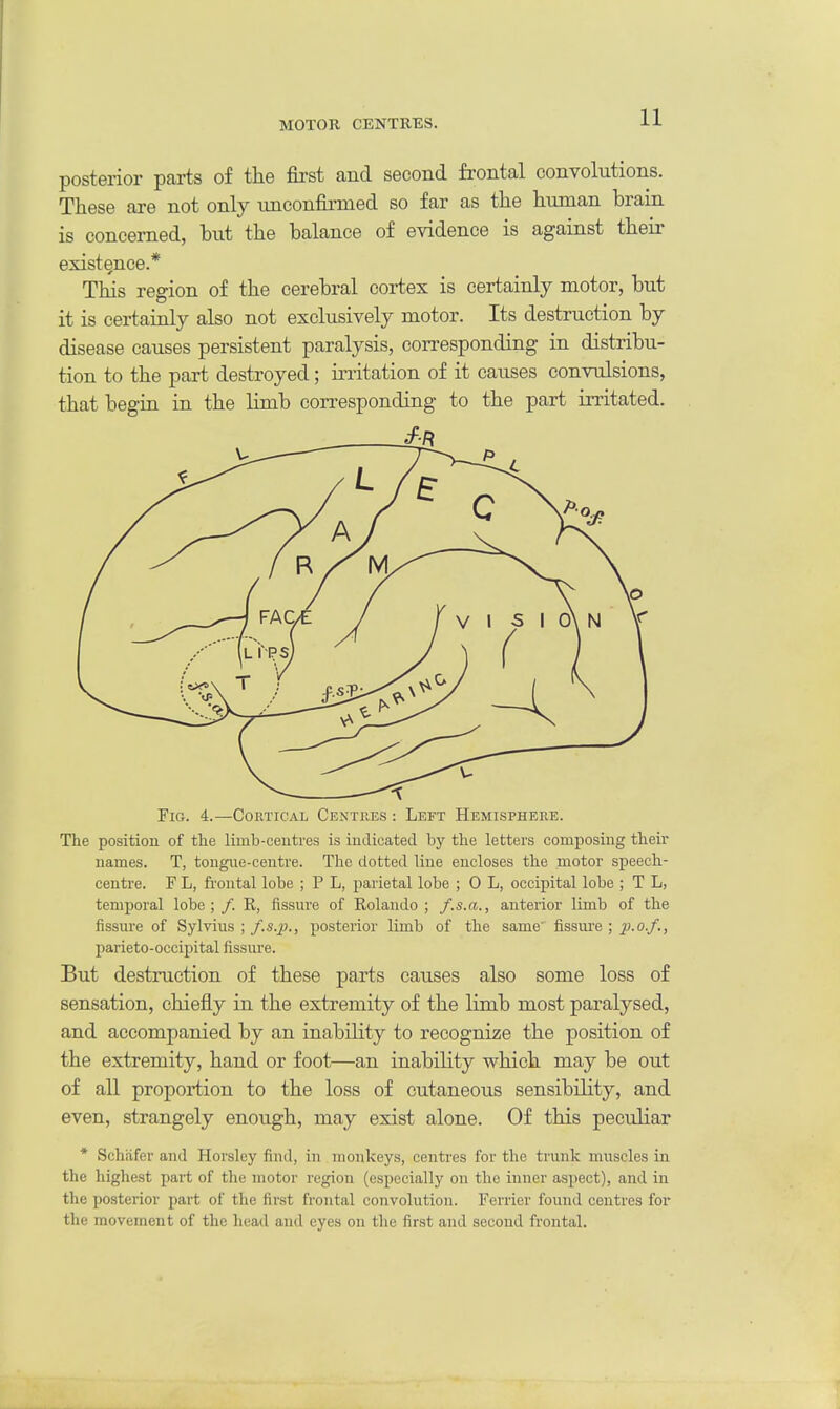 MOTOR CENTRES. posterior parts of the first and second frontal convolutions. These are not only unconfirmed so far as the human brain is concerned, but the balance of evidence is against their existence.* This region of the cerebral cortex is certainly motor, but it is certainly also not exclusively motor. Its destruction by disease causes persistent paralysis, corresponding in distribu- tion to the part destroyed; irritation of it causes convulsions, that begin in the limb corresponding to the part irritated. Fig. 4.—Cortical Centres : Left Hemisphere. The position of the limb-centres is indicated by the letters composing their names. T, tongue-centre. The dotted line encloses the motor speech- centre. F L, frontal lobe ; P L, parietal lobe ; 0 L, occipital lobe ; T L, temporal lobe; /. R, fissure of Rolando ; f.s.a., anterior limb of the fissure of Sylvius ; f.s.p., posterior limb of the same' fissure ; p.o.f., parietooccipital fissure. But destruction of these parts causes also some loss of sensation, chiefly in the extremity of the limb most paralysed, and accompanied by an inability to recognize the position of the extremity, hand or foot—an inability which may be out of all proportion to the loss of cutaneous sensibility, and even, strangely enough, may exist alone. Of this peculiar * Sehafer and Horsley find, in monkeys, centres for the trunk muscles in the highest part of the motor region (especially on the inner aspect), and in the posterior part of the first frontal convolution. Ferrier found centres for the movement of the head and eyes on the first and second frontal.