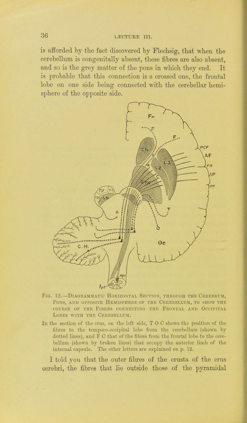 is afforded by the fact discovered by Flecbsig, that when the cerebellum is congenitally absent, these fibres are also absent, and so is the grey matter of the pons in which they end. It is probable that this connection is a crossed one, the frontal lobe on one side being connected with the cerebellar hemi- sphere of the opposite side. Fig. 1-2.—Diagrammatic Horizontal Sfxtiox, through the Cerkbrvm, Pons, axd opposite Hemisphere of the Cerebellum, to show the course of the Fibres connecting the Frontal and Occipital Lobes with the Cerebellum. In the section of the crus, on the left side, TOG shows the position of the fibres to the temporo-occipital lobe from the cerebellum (shown by- dotted lines), and F C that of the fibres from the frontal lobe to the cere- bellum (shown by broken lines) that occupy the anterior limb of the internal capsule. The other letters are explained on p. 12. I told you that the outer fibres of the crusta of the crus cerebri, the fibres that lie outside those of the pyramidal