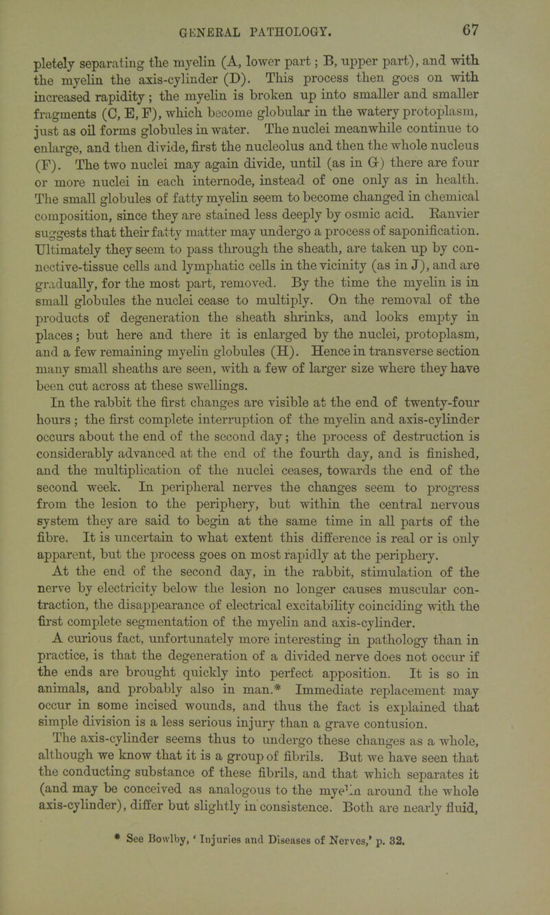 pletely separating tlie myelin (A, lower part; B, upper part), and witli tlie myelin the axis-cylinder (D). This process then goes on with increased rapidity ; the myelin is broken up into smaller and smaller fragments (C, E, E), which become globular in the watery protoplasm, just as oil forms globules in water. The nuclei meanwhile continue to enlarge, and then divide, first the nucleolus and then the whole nucleus (F). The two nuclei may again divide, until (as in Gf) there are four or more nuclei in each internode, instead of one only as in health. The small globules of fatty myelin seem to become changed in chemical composition, since they are stained less deeply by osmic acid. Ranvier suggests that their fatty matter may undergo a process of saponification. IJltimately they seem to pass through the sheath, are taken up by con- nective-tissue cells and lymphatic cells in the vicinity (as in J), and are gradually, for the most part, removed. By the time the myelin is in small globules the nuclei cease to multiply. On the removal of the products of degeneration the sheath shrinks, and looks empty in places; but here and there it is enlarged by the nuclei, j>rotoplasm, and a few remaining myelin globules (H). Hence in transverse section many small sheaths are seen, with a few of larger size where they have been cut across at these swellings. In the rabbit the first changes are visible at the end of twenty-four hours ; the first complete interruption of the myelin and axis-cylinder occurs about the end of the second day; the process of destruction is considerably advanced at the end of the fourth day, and is finished, and the multiplication of the nuclei ceases, towards the end of the second week. In peripheral nerves the changes seem to progress from the lesion to the periphery, but within the central nervous system they are said to begin at the same time in all parts of the fibre. It is uncertain to what extent this difference is real or is only apparent, but the process goes on most rapidly at the periphery. At the end of the second day, in the rabbit, stimulation of the nerve by electricity below the lesion no longer causes muscular con- traction, the disappearance of electrical excitability coinciding with the first complete segmentation of the myelin and axis-cylinder. A curious fact, unfortunately more interesting in pathology than in practice, is that the degeneration of a divided nerve does not occur if the ends are brought quickly into perfect apposition. It is so in animals, and probably also in man* Immediate replacement may occur in some incised wounds, and thus the fact is explained that simple division is a less serious injury than a grave contusion. The axis-cylinder seems thus to undergo these changes as a whole, although we know that it is a group of fibrils. But we have seen that the conducting substance of these fibrils, and that which separates it (and may be conceived as analogous to the myehn around the whole axis-cylinder), differ but slightly in consistence. Both are nearly fluid, * See Iiowlby, ‘ Injuries and Diseases of Nerves,’ p. 32.