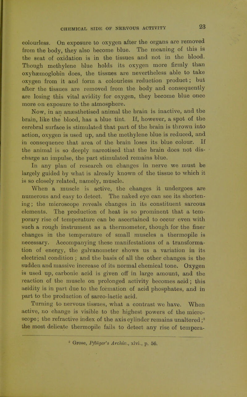 colourless. On exposure to oxygen after the organs are removed from the body, they also become blue. The meaning of this is the seat of oxidation is in the tissues and not in the blood. Though methylene blue holds its oxygen more firmly than oxyhemoglobin does, the tissues are nevertheless able to take oxygen from it and form a colourless reduction product; but after the tissues are removed from the body and consequently are losing this vital avidity for oxygen, they become blue once more on exposure to the atmosphere. Now, in an anaesthetised animal the brain is inactive, and the brain, like the blood, has a blue tint. If, however, a spot of the cerebral surface is stimulated that part of the brain is thrown into action, oxygen is used up, and the methylene blue is reduced, and in consequence that area of the brain loses its blue colour. If the animal is so deeply narcotised that the brain does not dis- charge an impulse, the part stimulated remains blue. In any plan of research on changes in nerve we must be largely guided by what is already known of the tissue to which it is so closely related, namely, muscle. When a muscle is active, the changes it undergoes are numerous and easy to detect. The naked eye can see its shorten- ing ; the microscope reveals changes in its constituent sarcous elements. The production of heat is so prominent that a tem- porary rise of temperature can be ascertained to occur even with such a rough instrument as a thermometer, though for the finer changes in the temperature of small muscles a thermopile is necessary. Accompanying these manifestations of a transforma- tion of energy, the galvanometer shows us a variation in its electrical condition ; and the basis of all the other changes is the sudden and massive increase of its normal chemical tone. Oxygen is used up, carbonic acid is given off in large amount, and the reaction of the muscle on prolonged activity becomes acid; this acidity is in part due to the formation of acid phosphates, and in part to the production of sarco-lactic acid. Turning to nervous tissues, what a contrast we have. When active, no change is visible to the highest powers of the micro- scope; the refractive index of the axis cylinder remains unaltered;2 the most delicate thermopile fails to detect any rise of tempera- a Grose, Pfliigcr's Archiv., xlvi., p. 56.