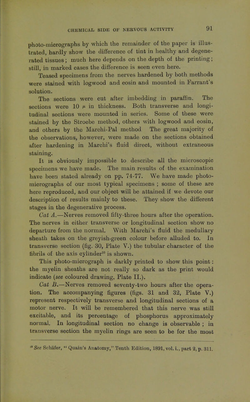 photo-micrographs by which the remainder of the paper is illus- trated, hardly show the difference of tint in healthy and degene- rated tissues; much here depends on the depth of the printing; still, in marked cases the difference is seen even here. Teased specimens from the nerves hardened by both methods were stained with logwood and eosin and mounted in Farrant's solution. The sections were cut after imbedding in paraffin. The sections were 10 ^ in thickness. Both transverse and longi- tudinal sections weue mounted in series. Some of these were stained by the Stroebe method, others with logwood and eosin, and others by the Marchi-Pal method The great majority of the observations, however, were made on the sections obtained after hardening in Marchi's fluid direct, without extraneous staining. It is obviously impossible to describe all the microscopic specimens we have made. The main results of the examination have been stated already on pp. 74-77. We have made photo- micrographs of our most typical specimens ; some of these are here reproduced, and our object will be attained if we devote our description of results mainly to these. They show the different stages in the degenerative process. Cat A.—Nerves removed fifty-three hours after the operation. The nerves in either transverse or longitudinal section show no departure from the normal. With Marchi's fluid the medullary sheath takes on the greyish-green colour before alluded to. In transverse section (fig. 30, Plate V.) the tubular character of the fibrils of the axis cylinder10 is shown. This photo-micrograph is darkly printed to show this point: the myelin sheaths are not really so dark as the print would indicate (see coloured drawing, Plate II.). Cat B.—Nerves removed seventy-two hours after the opera- tion. The accompanying figures (figs. 31 and 32, Plate V.) represent respectively transverse and longitudinal sections of a motor nerve. It will be remembered that this nerve was still excitable, and its percentage of phosphorus approximately normal. In longitudinal section no change is observable ; in transverse section the myelin rings are seen to be for the most