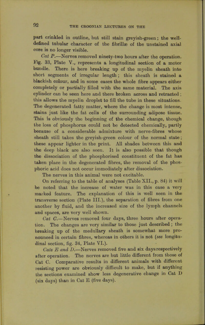 THE CROONIAN LECTURES ON THE part crinkled in outline, but still stain greyish-green; the well- defined tubular character of the fibrillae of the unstained axial core is no longer visible. Cat P.—Nerves removed ninety-two hours after the operation. Fig. 33, Plate V., represents a longitudinal section of a motor bundle. There is here breaking up of the myelin sheath into short segments of irregular length ; this sheath is stained a blackish colour, and in some cases the whole fibre appears either completely or partially filled with the same material. The axis cylinder can be seen here and there broken across and retracted; this allows the myelin droplet to fill the tube in these situations. The degenerated fatty matter, where the change is most intense, stains just like the fat cells of the surrounding adipose tissue. This is obviously the beginning of the chemical change, though the loss of phosphorus could not be detected chemically, partly because of a considerable admixture with nerve-fibres whose sheath still takes the greyish-green colour of the normal state; these appear lighter in the print. All shades between this and the deep black are also seen. It is also possible that though the dissociation of the phosphorised constituent of the fat has taken place in the degenerated fibres, the removal of the phos- phoric acid does not occur immediately after dissociation. The nerves in this animal were not excitable. On referring to the table of analyses (Table XII., p. 84) it will be noted that the increase of water was in this case a very marked feature. The explanation of this is well seen in the transverse section (Plate III.), the separation of fibres from one another by fluid, and the increased size of the lymph channels and spaces, are very well shown. Cat C.—Nerves removed four days, three hours after opera- tion. The changes are very similar to those just described ; the breaking up of the medullary sheath is somewhat more pro- nounced in certain fibres, whereas in others it is not (see longitu- dinal section, fig. 34, Plate VI.). Cats E and D.—Nerves removed five and six days respectively after operation. The nerves are but little different from those of Cat C. Comparative results in different animals with different resisting power are obviously difficult to make, but if anything the sections examined show less degenerative change in Cat D (six days) than in Cat E (five days).