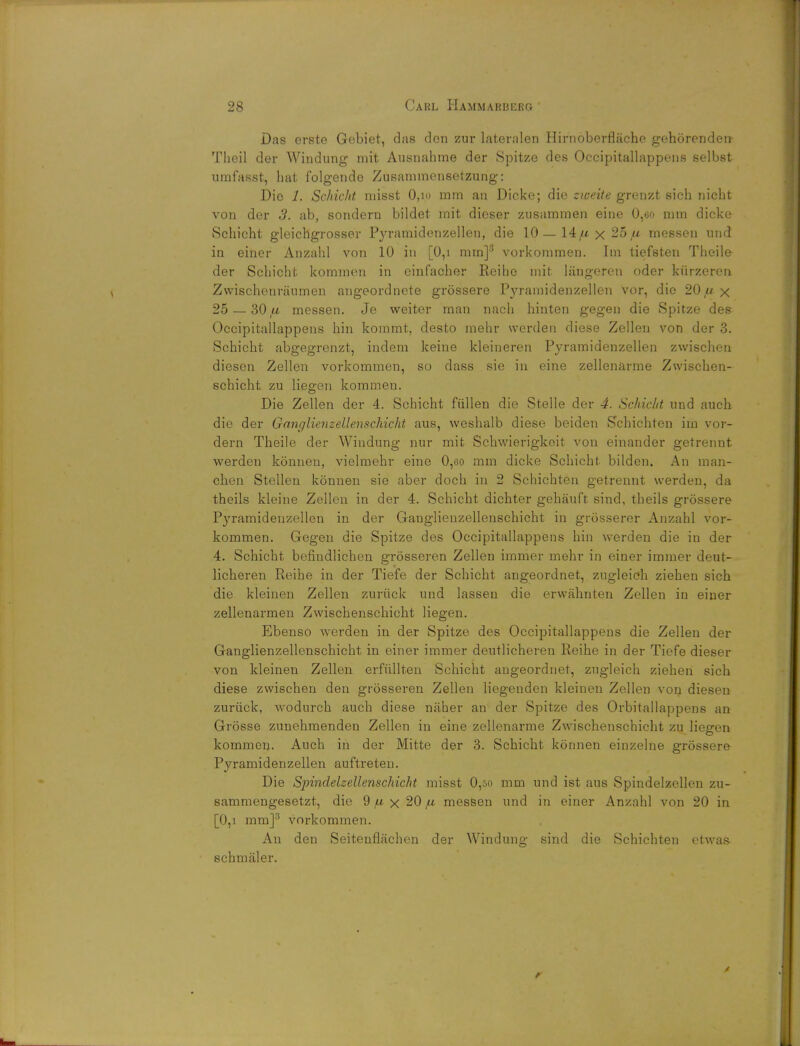 Das erste Gebiet, das den zur lateralen Hirnoberflache gehorenden Theil der Windung mit Ausnahme der Spitze des Occipitallappens selbst umfasst, hat folgende Zusammensetzung: Die 1. Schicht niisst 0,io mm an Dicke; die zweite grenzt sich nicht von der 3. ab, sondern bildet mit dieser zusammen eine 0,60 mm dicke Schicht gleichgrosser Pyramidenzellen, die 10—14/* x 25it messen und in einer Anzahl von 10 in [0,i mm]3 vorkommen. Im tiefsten Theile der Schicht kommcn in einfacher Reihe mit langeren oder kiirzeren Zwischenriiumen angeordnete grossere P}rramidenzellen vor, die 20,ax 25 — 30 fi messen. Je weiter man nach hinten gegen die Spitze des Occipitallappens bin kommt, desto mehr wcrden diese Zellen von der 3. Schicht abgegrenzt, indem keine kleineren Pyramidenzellen zwischen diesen Zellen vorkommen, so dass sie in eine zellenarme Zwischen- schicht zu liegen kommen. Die Zellen der 4. Schicht fullen die Stelle der 4. Schicht und auch die der Ganglienzellenschicht aus, weshalb diese beiden Schichten im vor- dern Theile der Windung nur mit Schwierigkeit von einander getrennt werden konnen, vielmehr eine 0,60 mm dicke Schicht. bilden. An man- chen Stellen konnen sie aber doch in 2 Schichten getrennt werden, da theils kleiue Zellen in der 4. Schicht dichter gehauft sind, theils grossere Pyramidenzellen in der Ganglienzellenschicht in grosserer Anzahl vor- kommen. Gegen die Spitze des Occipitallappens bin werden die in der 4. Schicht befindlichen grosseren Zellen immer mehr in einer iminer deut- licheren Reihe in der Tiefe der Schicht angeordnet, zugleich ziehen sich die kleinen Zellen zuriick und lassen die erwahnten Zellen iu einer zellenarmen Zwischenschicht liegen. Ebenso werden in der Spitze des Occipitallappens die Zellen der Ganglienzellenschicht in einer immer deutlicheren Reihe in der Tiefe dieser von kleinen Zellen erfullten Schicht angeordnet, zugleich ziehen sich diese zwischen den grosseren Zellen liegenden kleinen Zellen von diesen zuriick, wodurch auch diese naher an der Spitze des Orbitallappens an Grosse zunehmendeu Zellen in eine zellenarme Zwischenschicht zu liegen kommen. Auch in der Mitte der 3. Schicht konnen einzelne grossere Pyramidenzellen auftreten. Die Spindelzellenschicht misst 0,50 mm und ist aus Spindelzellen zu- sammengesetzt, die 9 fx x 20 /u messen und in einer Anzahl von 20 in [0,i mm]3 vorkommen. An den Seitenflachen der Windung sind die Schichten etwas- schmaler. /