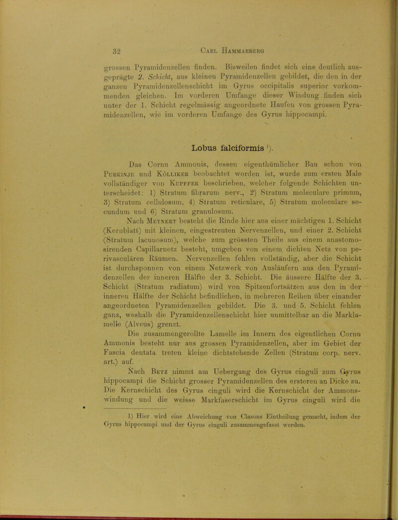 grossen Pyramidenzellen findcn. Bisweilen findet sich eine deutlich aus- geprfigte 2. Sclricht, aus kleinen Pyramidenzellen gebildet, die den in der ganzen Pyramidenzellenschicht im Gyrus occipitalis superior vorkom- menden gleicheu. Im vorderen Umfange dieser Windung finden sich uuter der 1. Schicht regelmitssig angeordnete Haufen von grossen Pyra- midenzellen, wie im vorderen Umfange des Gyrus hippocampi. Lobus falciformis l). Das Cornu Ammonis, dessen eigenthiimlicher Bau schon von Purkinjk und K6lliker beobachtet worclen ist, vvurde zum ersteu Male vollstandiger von Kupffer beschrieben, welcher folgende Schichten un- terscheidet: 1) Stratum fibrarum nerv., 2) Stratum moleculare primum, 3) Stratum cellulosum, 4) Stratum reticulare, 5) Stratum moleculare se- cundum und 6) Stratum granulosum. Nach Meynert besteht die Rinde hier aus einer maclitigen 1. Schicht (Kernblatt) mit kleinen, eingestreuten Nervenzellen, und einer 2. Schicht (Stratum lacunosum), welche zum grossten Theile aus einem anastomo- sirenden Capillarnetz besteht, umgeben von einem dichten Netz von pe- rivascularen Raumen. Nervenzellen fehlen vollstandig, aber die Schicht ist durchsponnen von einem Netzwerk von Auslaufern aus den Pyrami- denzellen der inneren Halfte der 3. Schicht. Die aussere Halfte der 3. Schicht (Stratum radiatum) wird von Spitzenfortsatzen aus den in der inneren Halfte der Schicht befindlichen, in mehreren Reihen iiber einander angeordneten Pyramidenzellen gebildet. Die 3. und 5. Schicht fehlen ganz, weshalb die Pyramidenzellenschicht hier unmittelbar an die Markla- meUe (Alveus) grenzt. Die zusammengerollte Lamelle im Innern des eigentlichen Cornu Ammonis besteht nur aus grossen Pyramidenzellen, aber im Gebiet der Fascia dentata treten kleine dichtstehende Zellen (Stratum corp. nerv. art.) auf. Nach Betz nimmt am Uebergang des Gyrus cinguli zum Gyrus hippocampi die Schicht grosser Pyramidenzellen des ersteren an Dicke zu. Die Kernschicht des Gyrus cinguli wird die Kernschicht der Ammons- windung und die weisse Markfaserschicht im Gyrus cinguli wird die 1) Hier wird eiue Abweichuug vou Clasous Eiutheiluug gemacht, indem der Gyrus liippocampi und der Gyrus cinguli zusammengefasst w'erden.