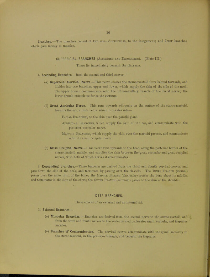 Branches. — The bianclics consist of two sets—Sui'Eiu'icial, to tlic integument; and Deep branches, wliicli pass mostly to muscles. SUPERFICIAL BRANCHES (Ascending and Descending).—(Plate III.) ' These lie immediately beneath the platysma. 1. Ascending Branches—from the second and third nerves. (a) Superficial Cervical Nerve.—This nerve crosses the stemo-mastoid from behind forwards, and divides into two branches, upper and lower, which supply the skin of the side of the neck. The upper branch communicates with the infra-maxillary branch of the facial nen'e; the lower branch extends as far as the sternum. (h) Great Auricular Nerve.—^This runs ujjwards obliquely on the surface of the stemo-mastoid, towards the ear, a little below which it divides into— Facial Branches, to the skin over the parotid gland. Auricular Branches, which supply the skin of the ear, and communicate with the posterior auricular nerve. Mastoid Branches, which supply the skin over the mastoid process, and communicate with the small occipital nerve. (r) Small Occipital Nerve.—This nerve runs upwards to the head, along the jjostcrior border of the sterno-mastoid muscle, and supplies the skin between the great aiu'icular and great occipital nerves, with both of which nerves it communicates. 2. Descending Branches.—These branches are derived from the third and fourth cervical nerves, and pass down the side of the neck, and terminate by passing over the clavicle. The Inner Branch (sternal) passes over the inner third of the bone; the Middle Branch (clavicular) crosses the bone about its middle, and terminates in the skin of the chest; the Outer Branch (acromial) passes to the skin of the shoulder. DEEP BRANCHES. These consist of an external and an internal set. 1. External Branches— (a) Muscular Branches. — Branches, are derived from the second nerve to the stemo-mastoid, and from the third and fourth nerves to the scalenus medius, levator anguli scapulae, and trapezius muscles. (b) Branches of Communication.— The cervical nerves communicate with the spinal accessory in tlie stemo-mastoid, in the posterior triangle, and beneath the trapezius.