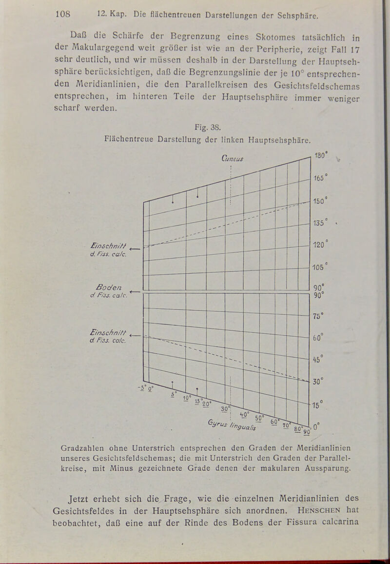 Daß die Schärfe der Begrenzung eines Skotomes tatsächlich in der Makulargegend weit größer ist wie an der Peripherie, zeigt Fall 17 sehr deutlich, und wir müssen deshalb in der Darstellung der Hauptseh- sphäre berücksichtigen, daß die Begrenzungslinie der je 10° entsprechen- den Meridianlinien, die den Parallelkreisen des Gesichtsfeldschemas entsprechen, im hinteren Teile der Hauptsehsphäre immer weniger scharf werden. Fig. 38. Flächentreue Darstellung der linken Hauptsehsphäre. Gradzahlen ohne Unterstrich entsprechen den Graden der Meridianlinien unseres Gesichtsfeldschemas; die mit Unterstrich den Graden der Parallel- kreise, mit Minus gezeichnete Grade denen der makularen Aussparung. Jetzt erhebt sich die Frage, wie die einzelnen Meridianlinien des Gesichtsfeldes in der Hauptsehsphäre sich anordnen. Henschen hat beobachtet, daß eine auf der Rinde des Bodens der Fissura calcarina